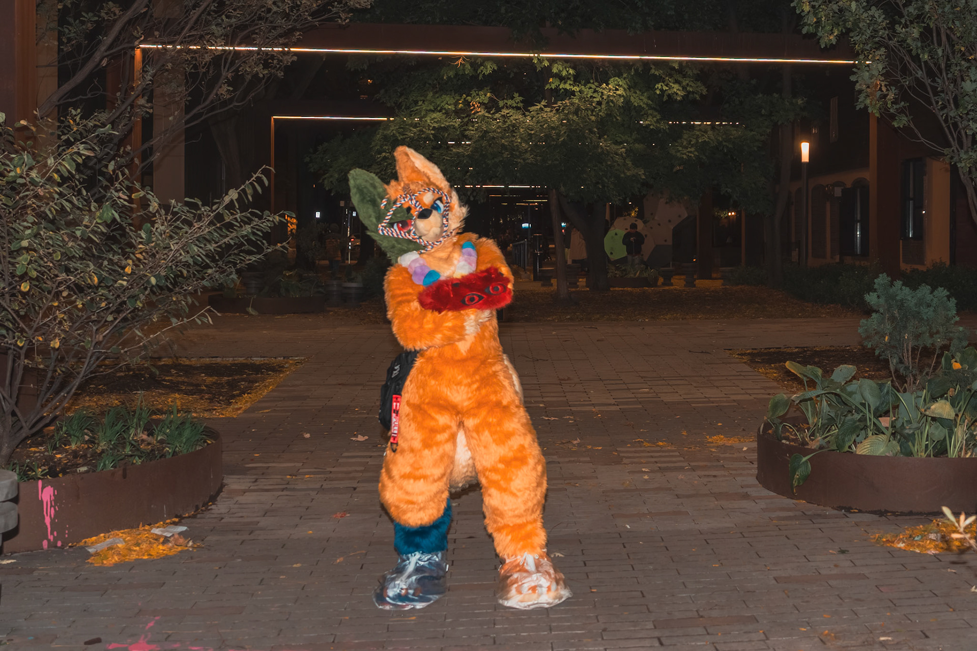 Halloween