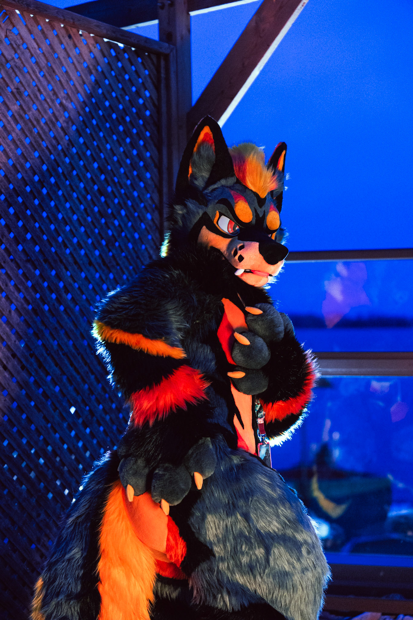 Furnal Equinox 2025