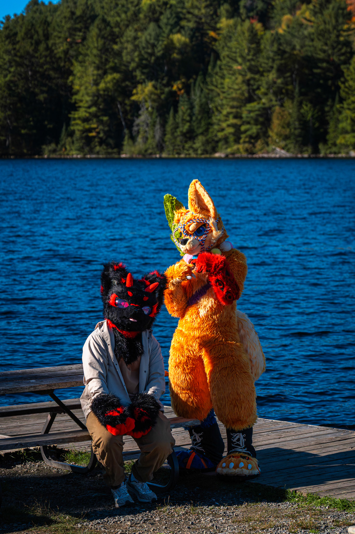 Algonquin Fall Colour