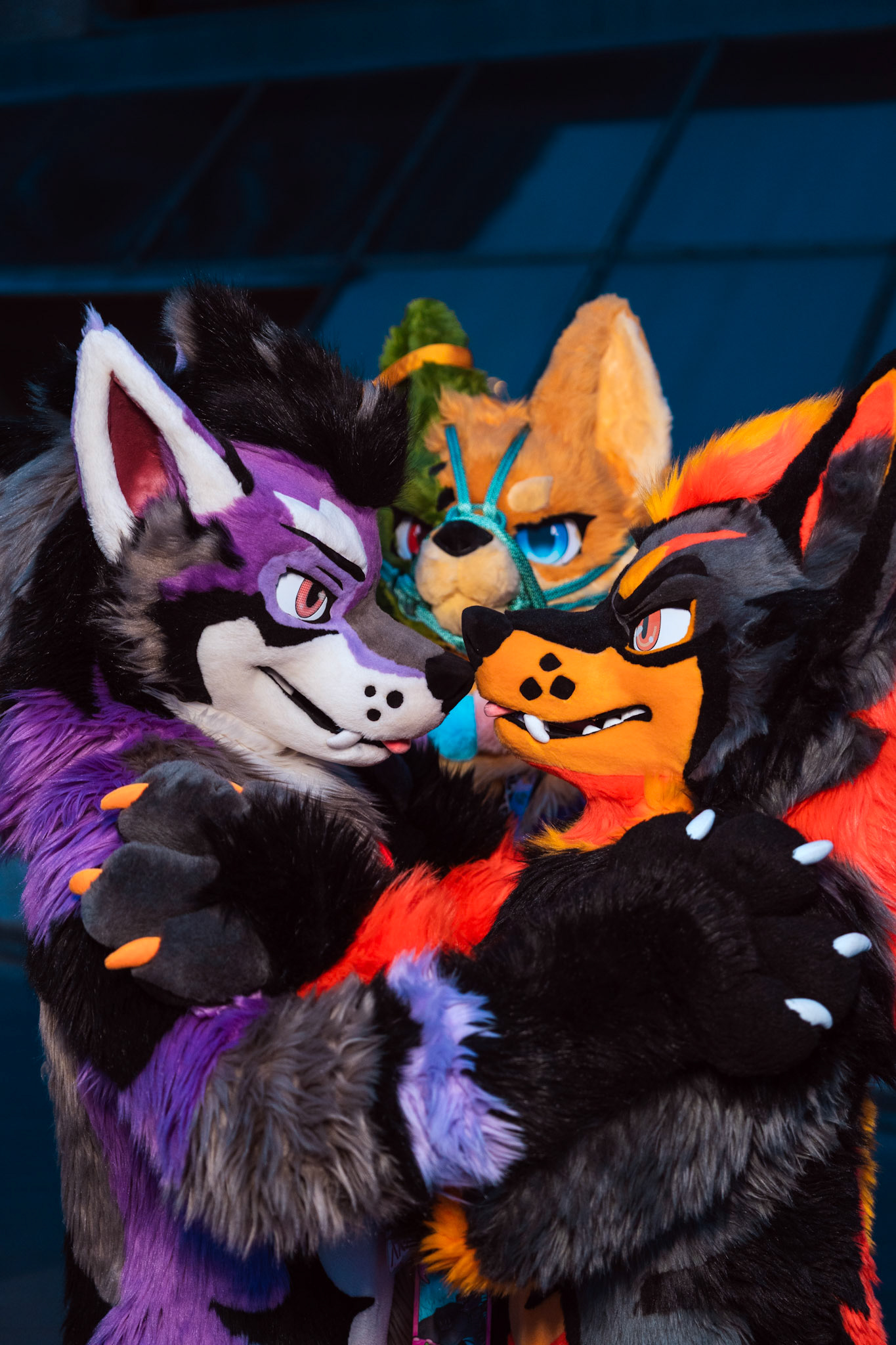 Furnal Equinox 2025