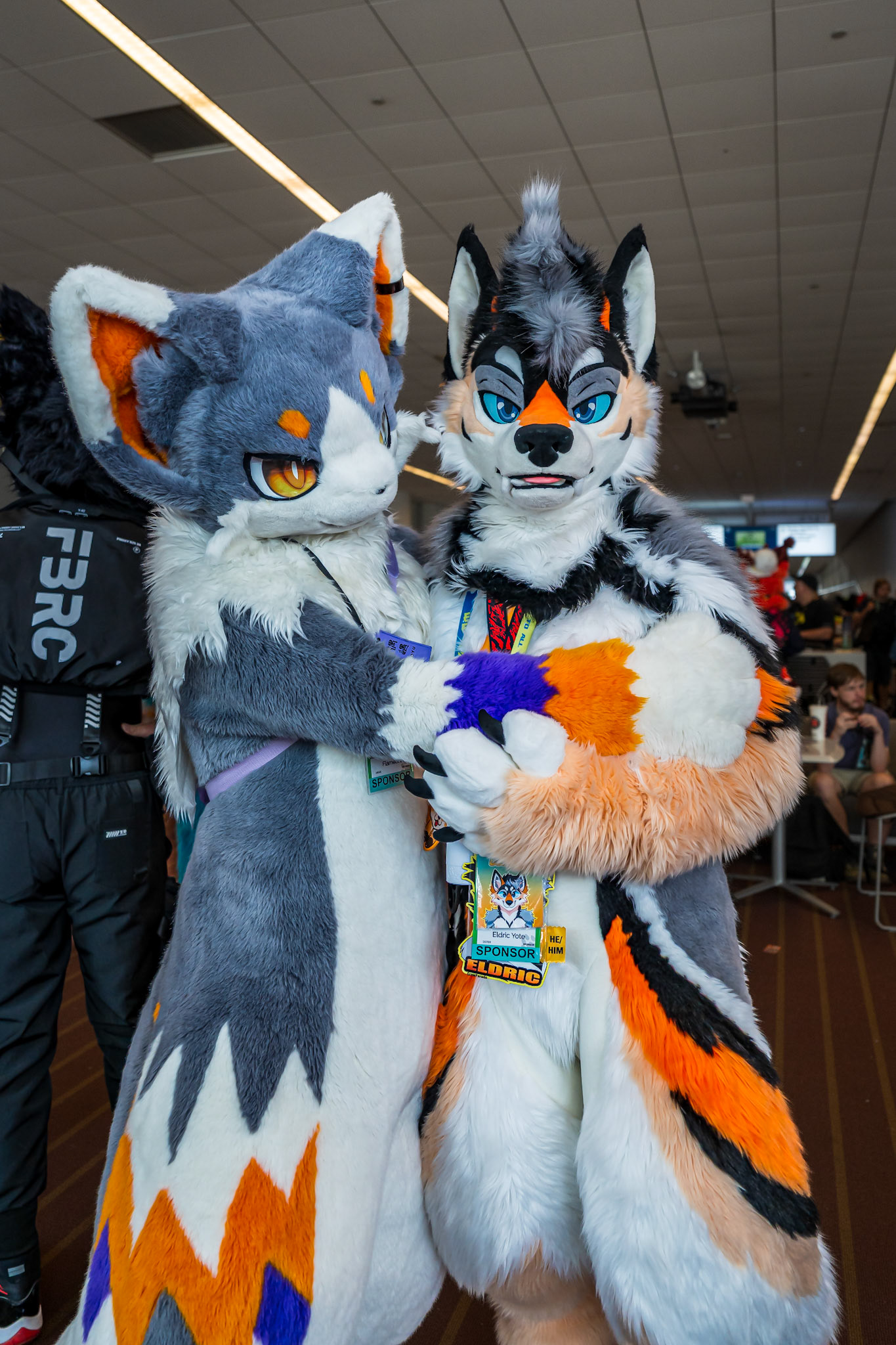 Anthrocon 2026