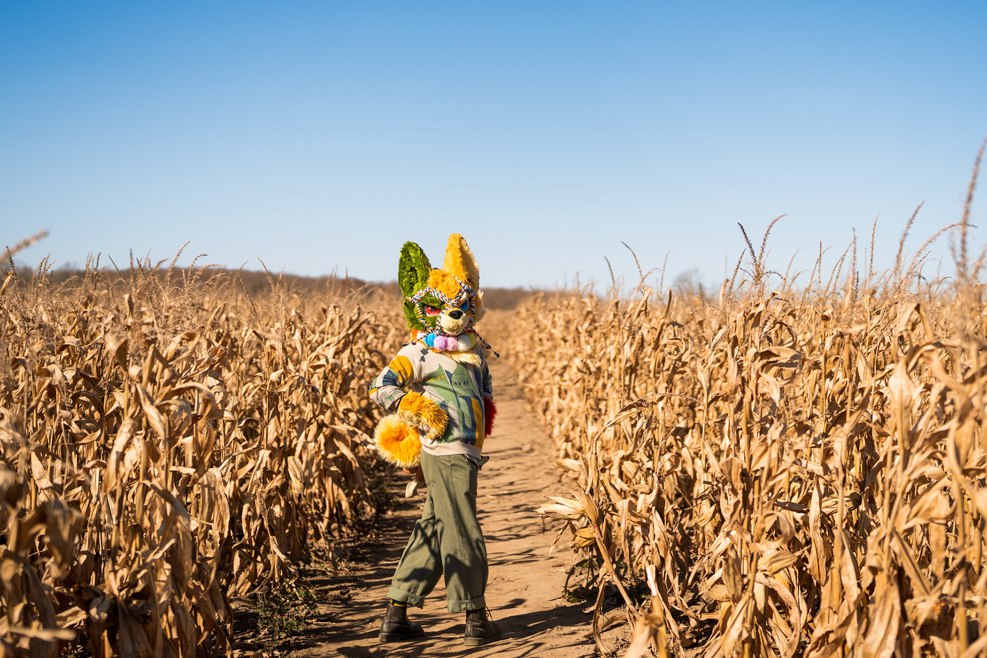 Corn Maze