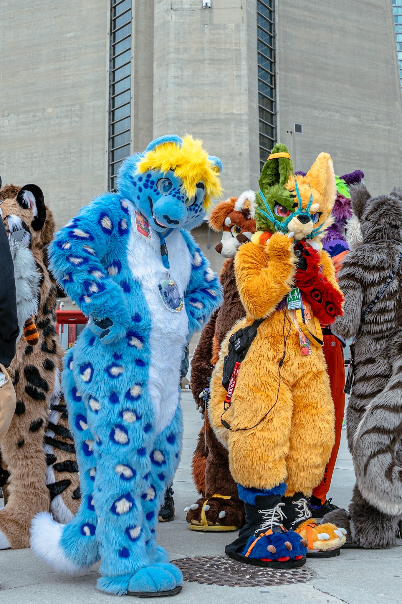 Furnal Equinox 2025