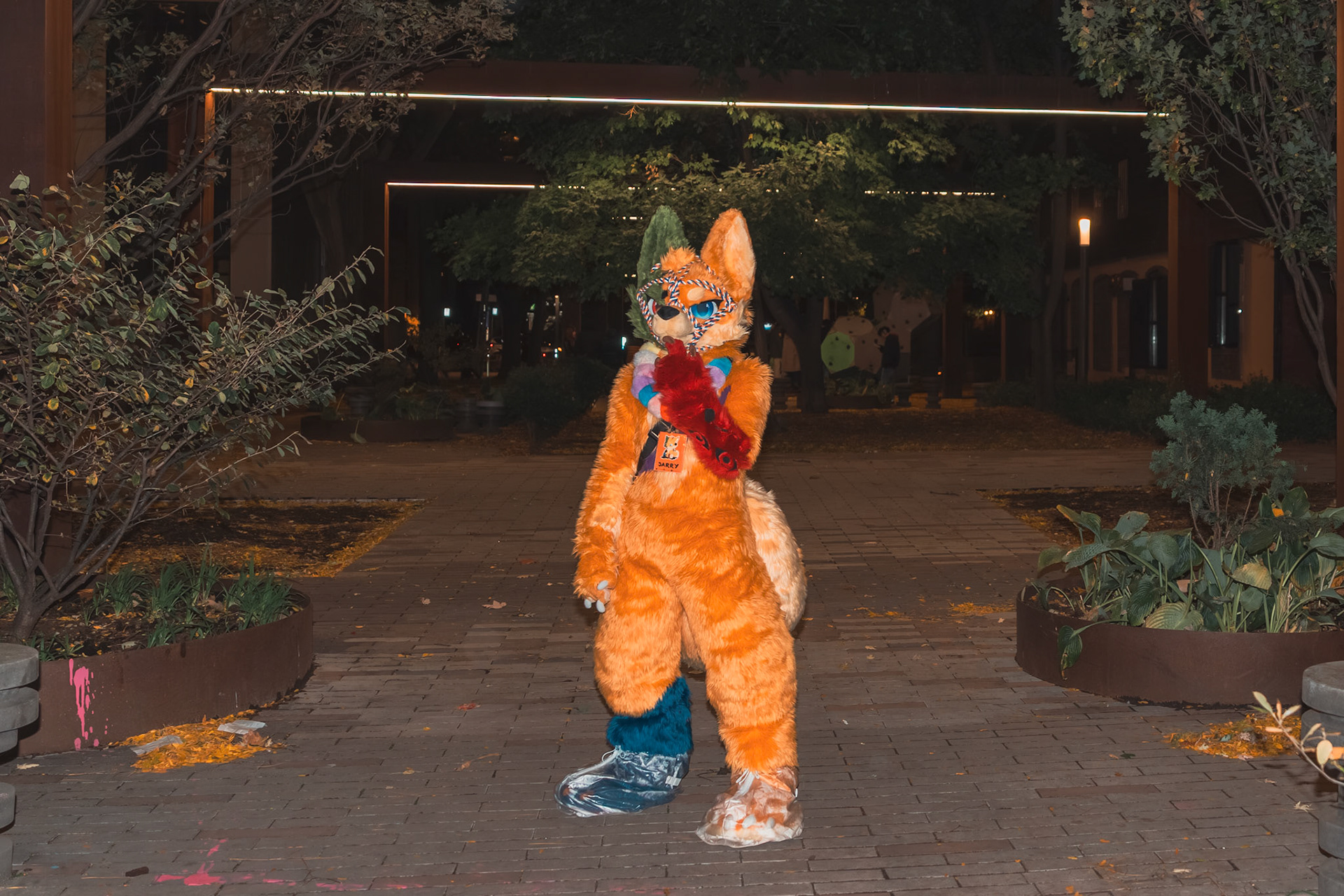 Halloween
