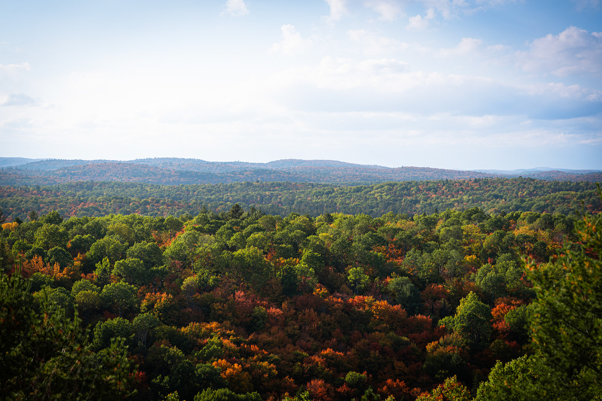Algonquin Fall Colour