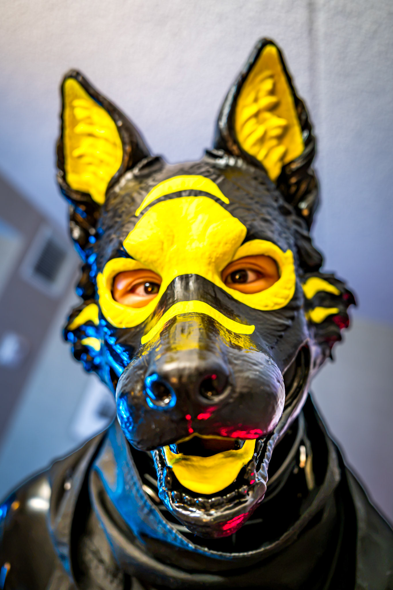 Anthrocon 2026
