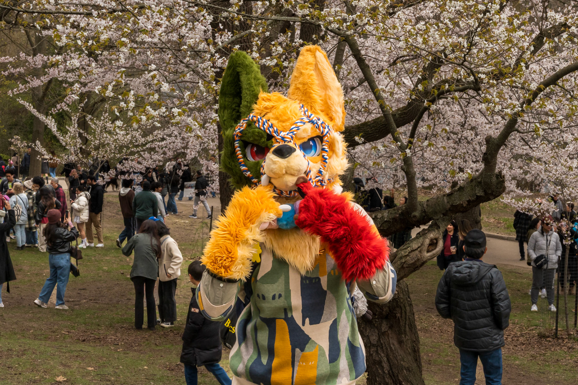 High Park 4.0