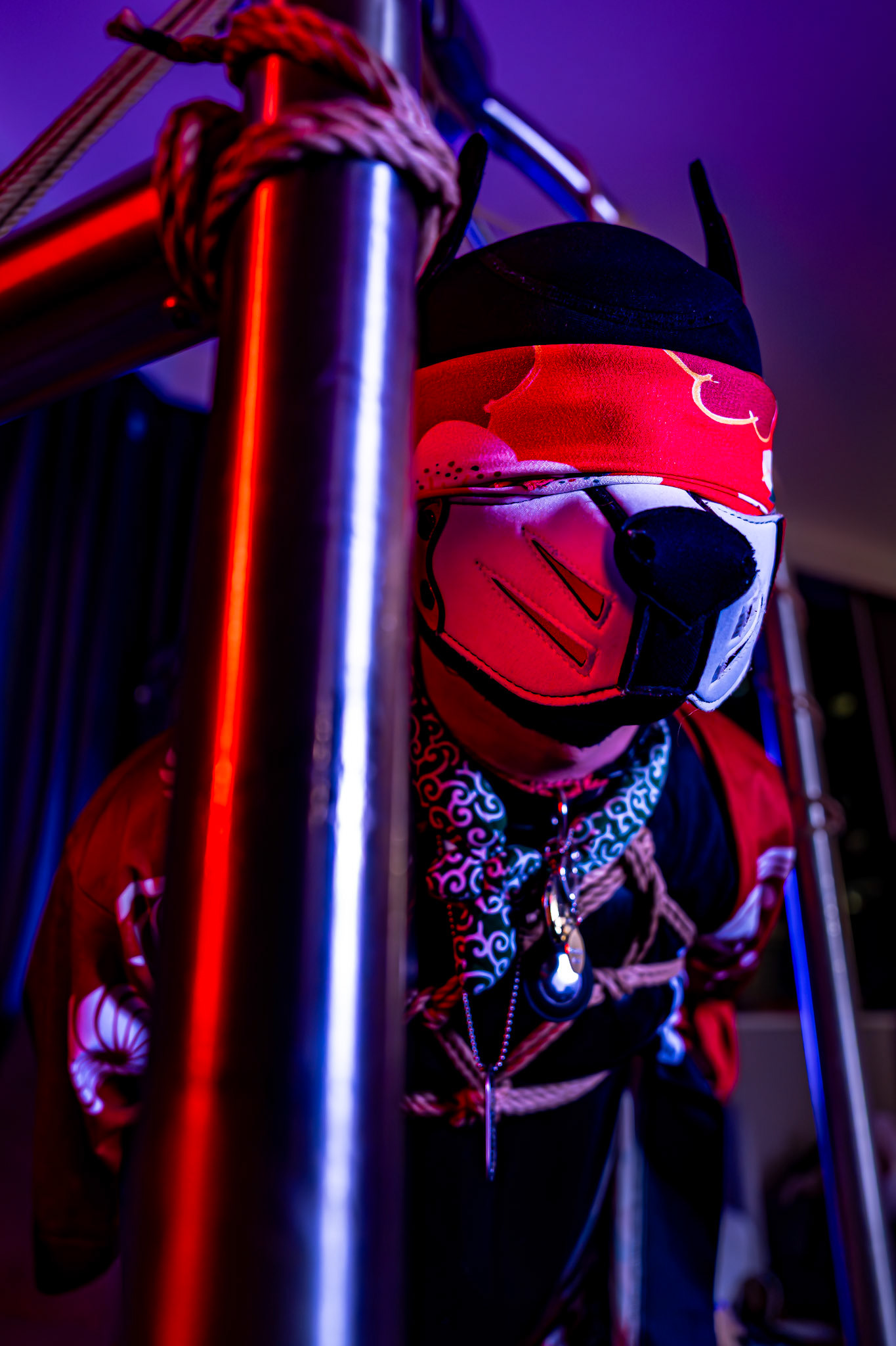 Furnal Equinox