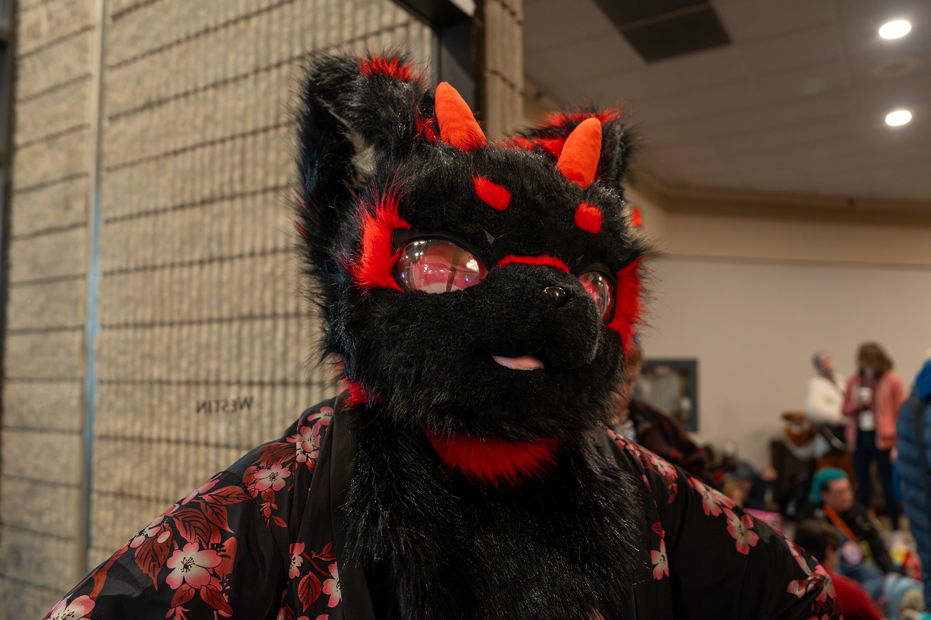 Furnal Equinox