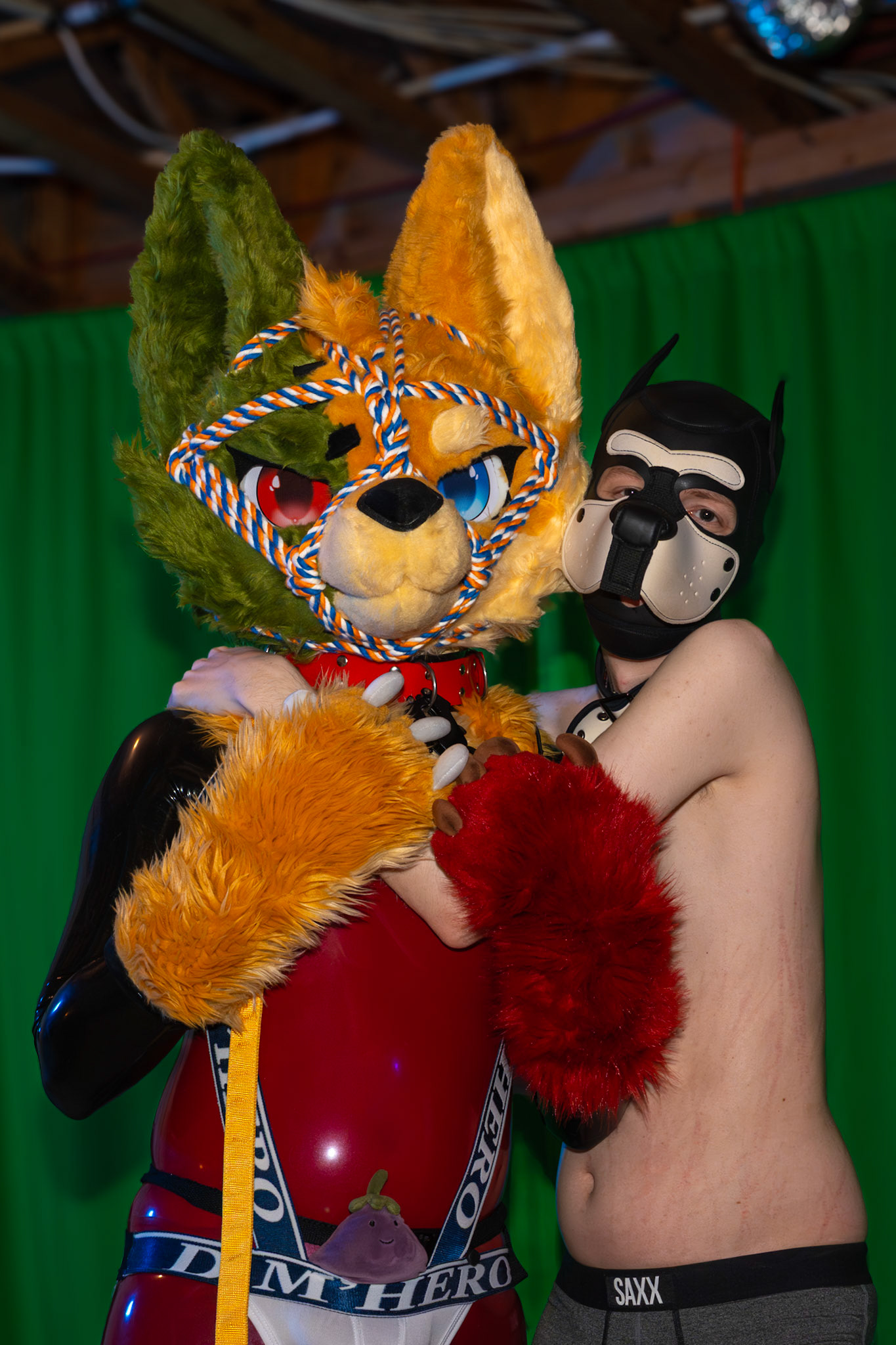 Pawty #2