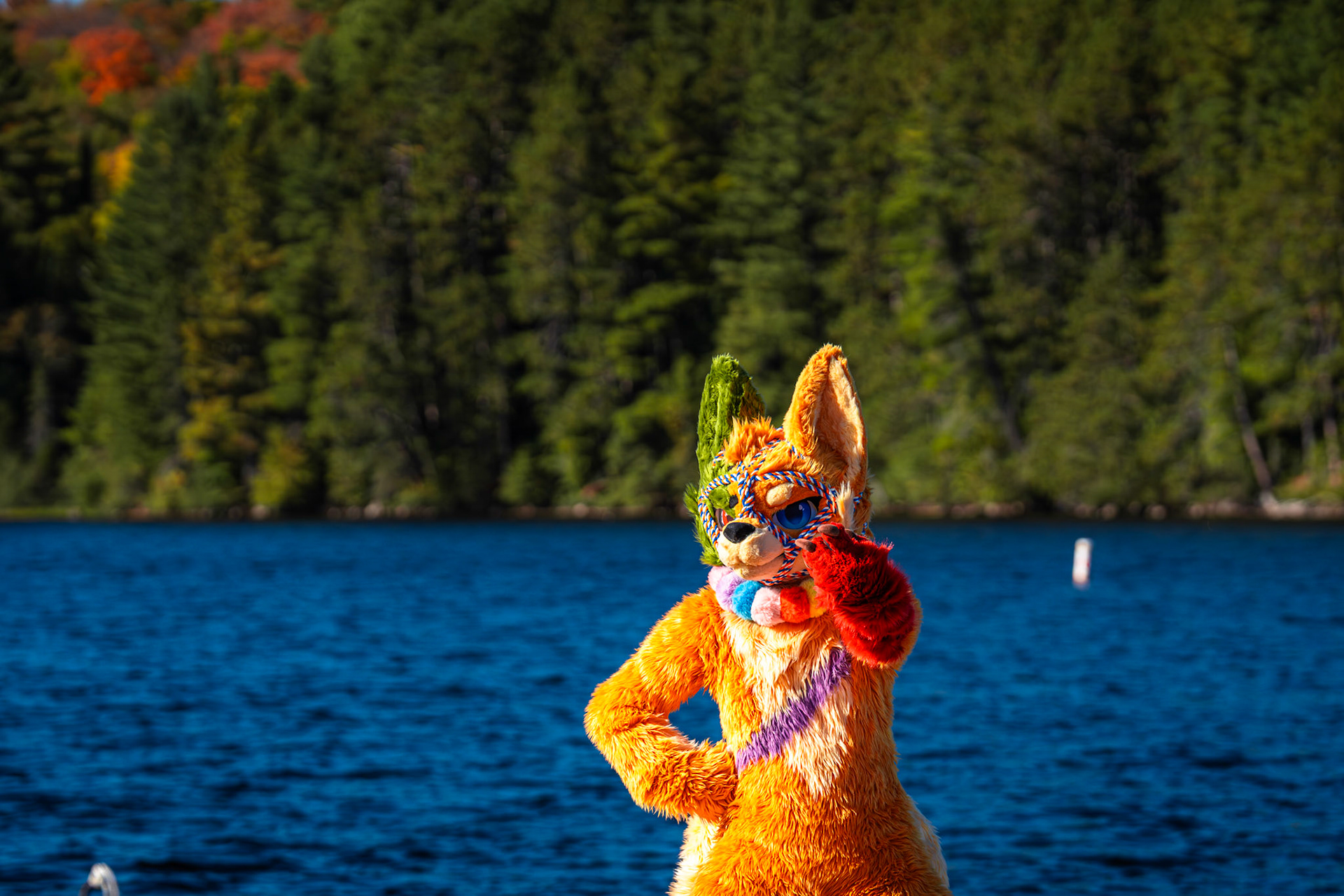 Algonquin Fall Colour