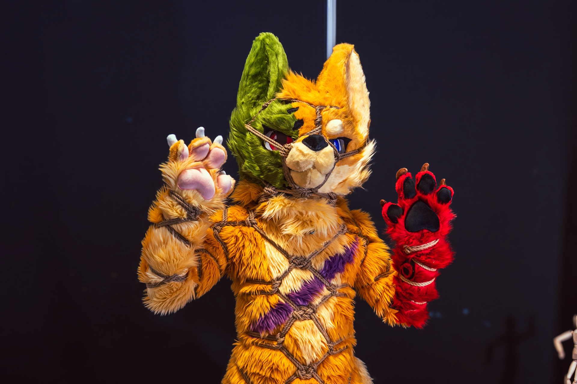 Shibari Inu