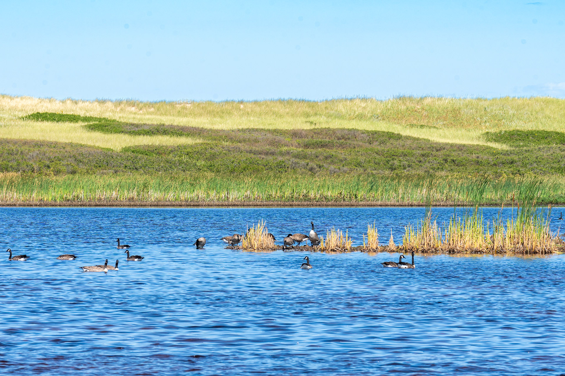 PEI Labour Day Trip