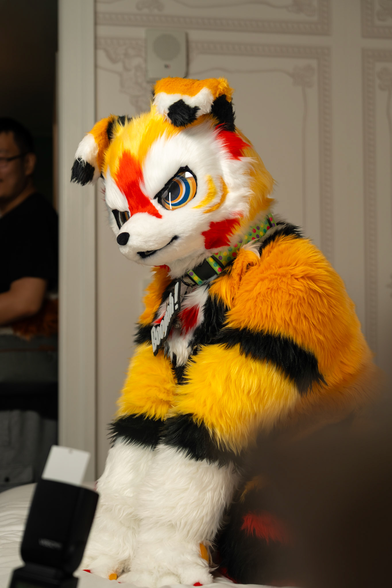 Anthrocon 2025