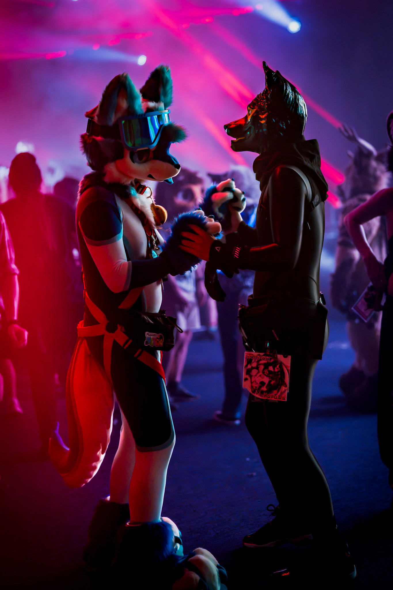Anthrocon 2026