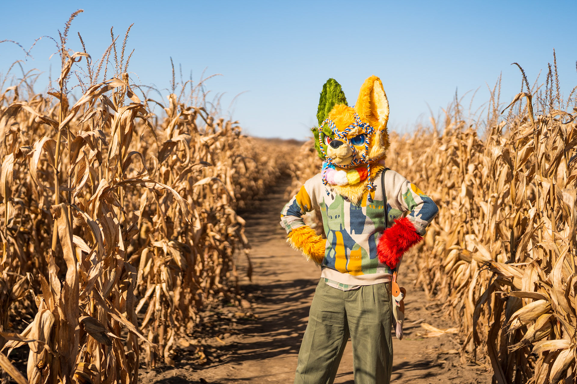 Corn Maze