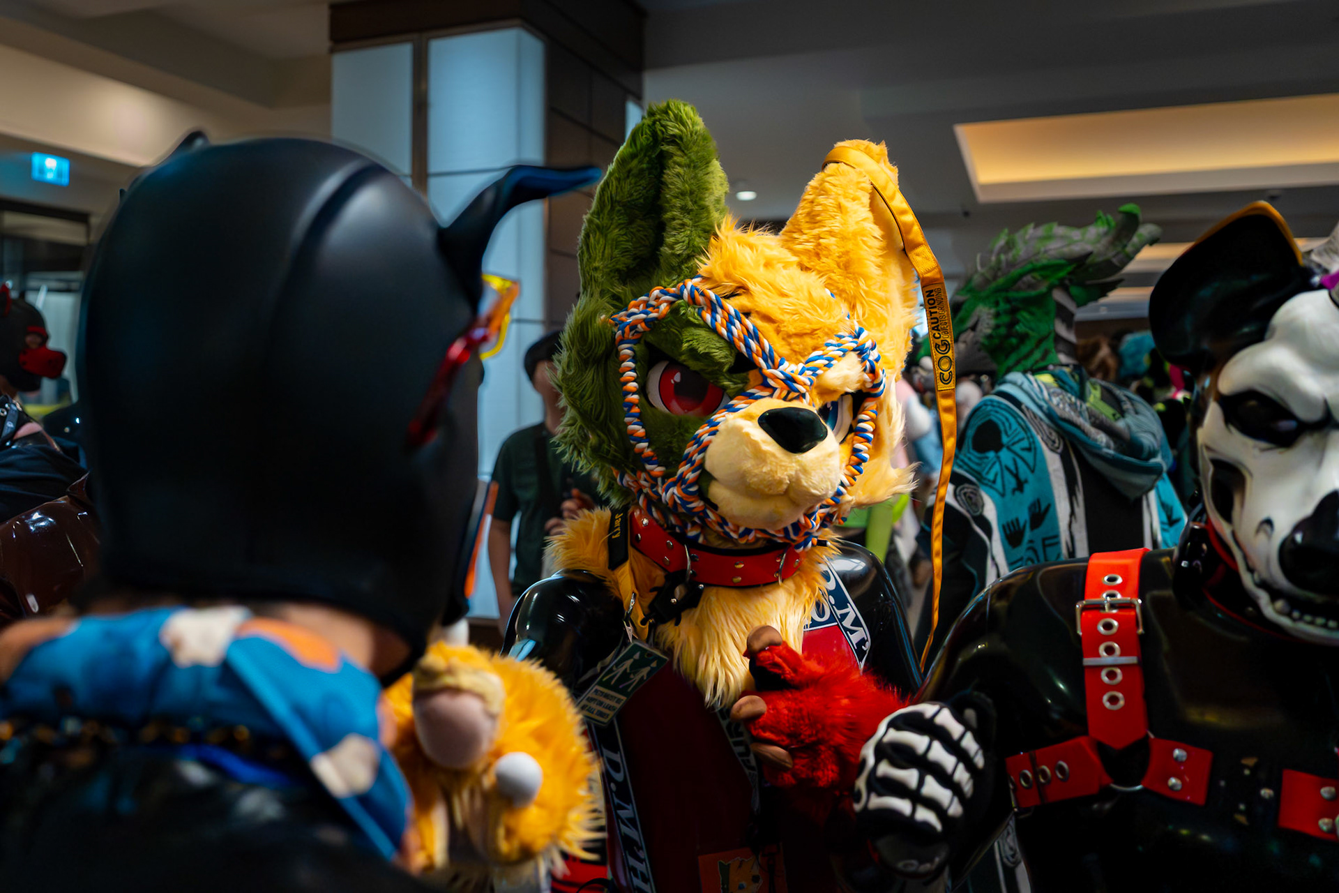 Furnal Equinox