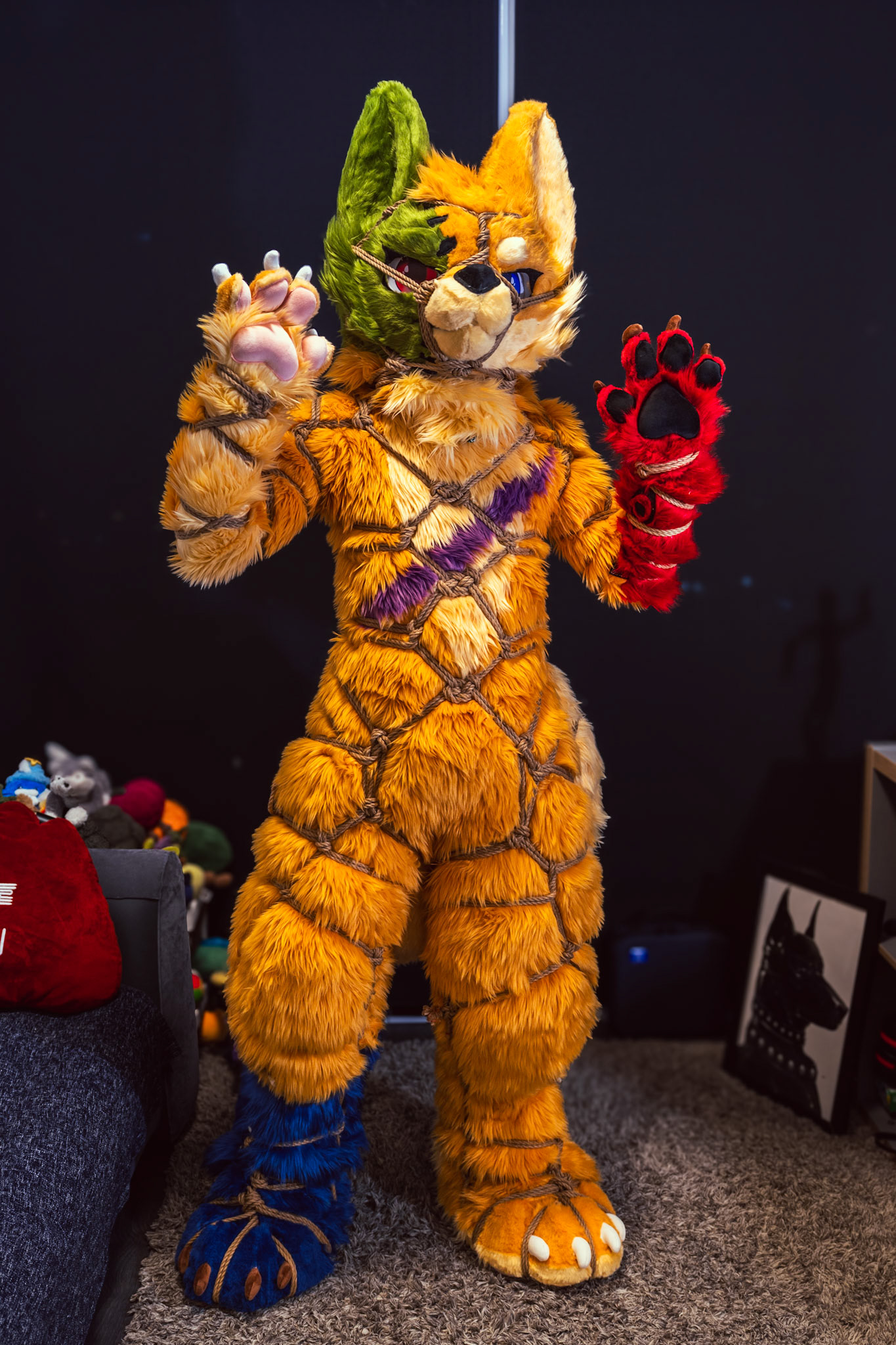 Shibari Inu