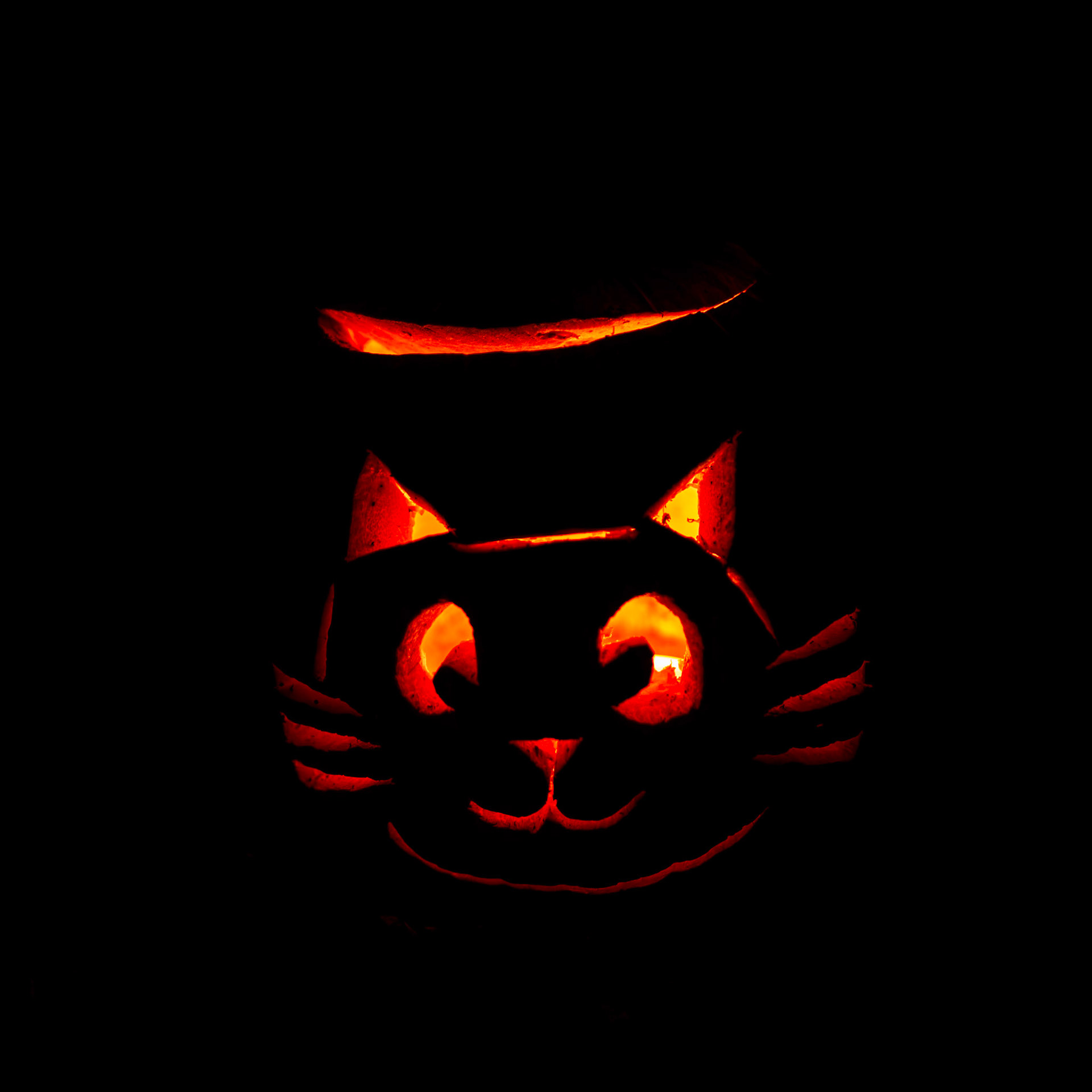 Pumpkin Trail