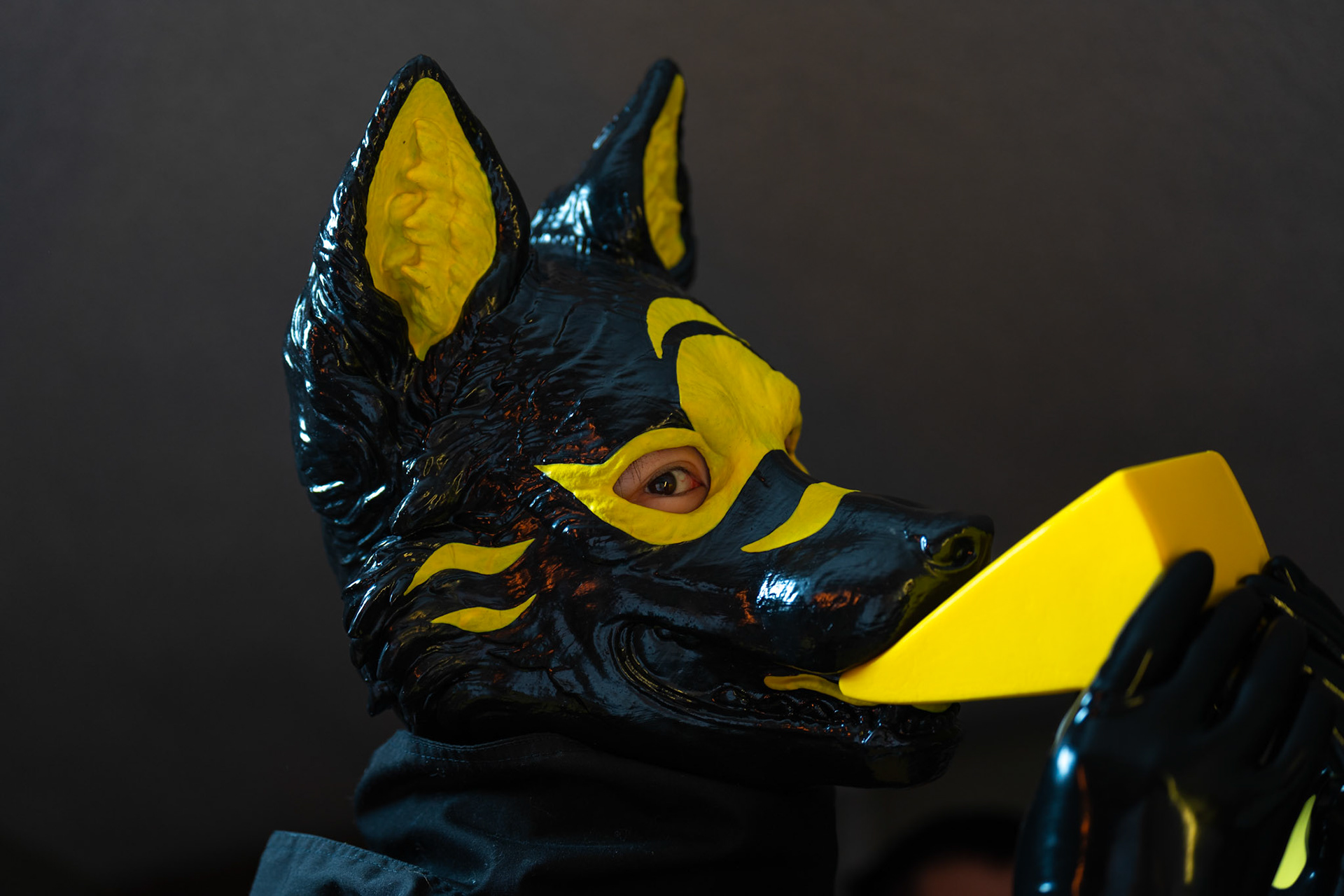 Anthrocon 2025