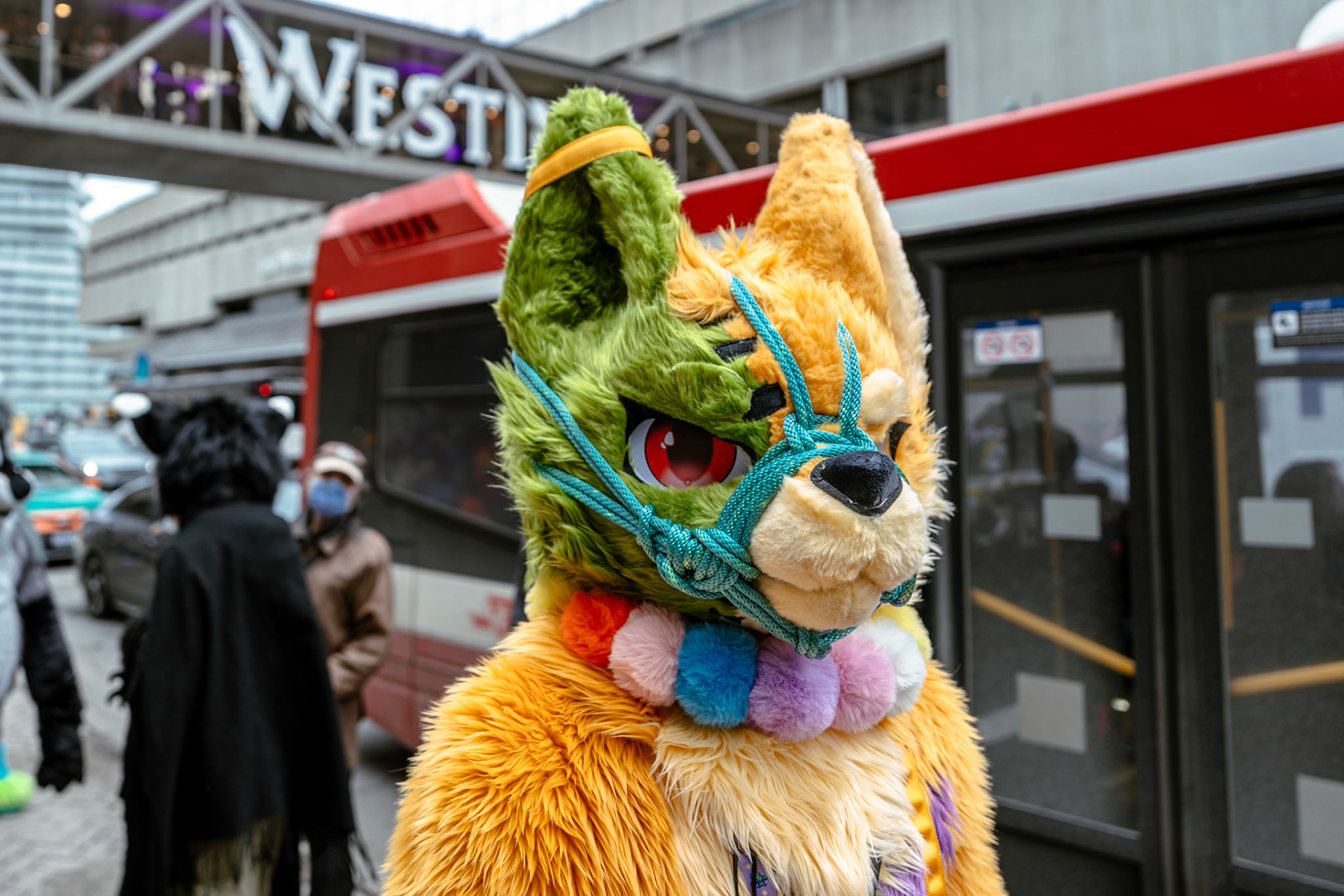 Furnal Equinox 2025