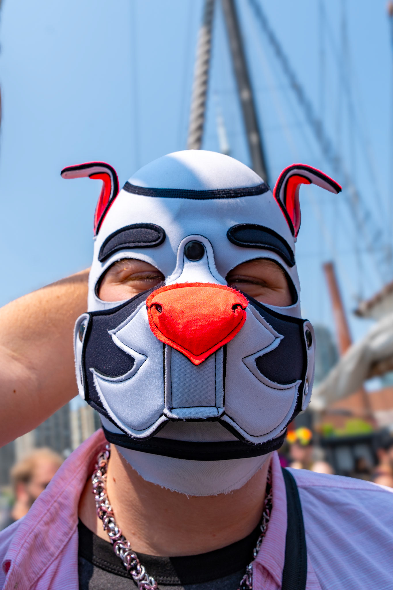 PUPPY CRUISE: ALL PAWS ON DECK