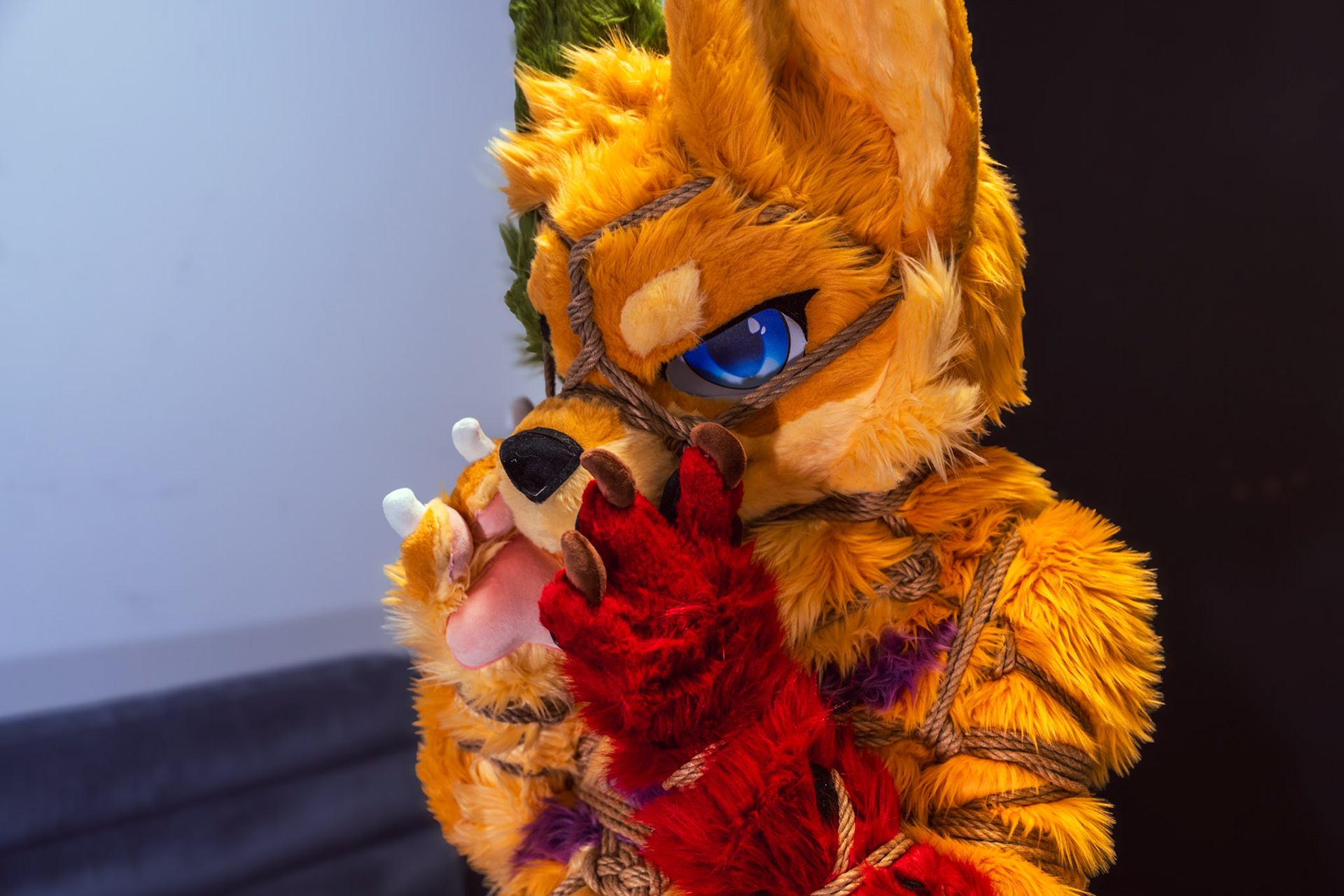 Shibari Inu