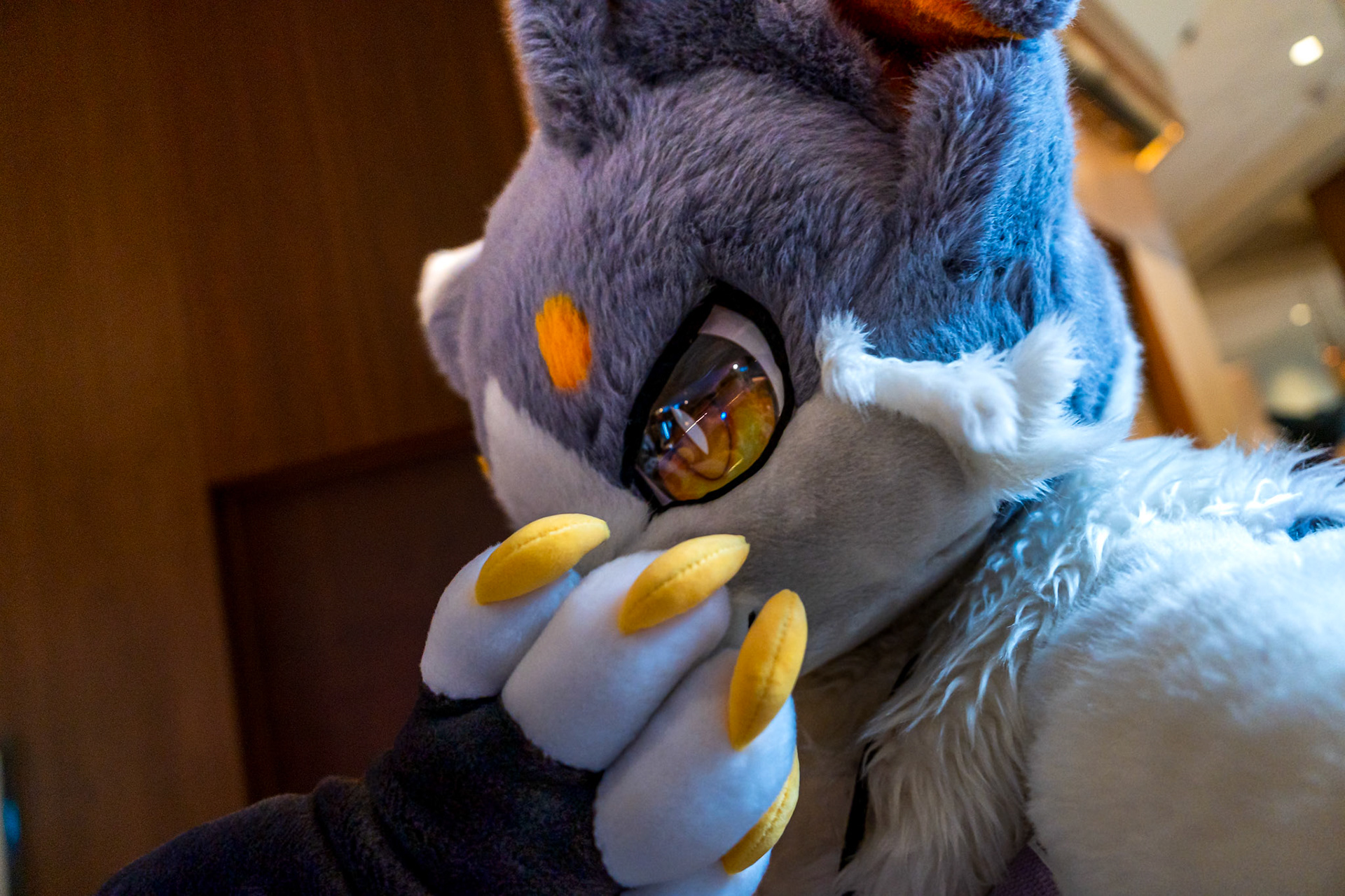 Anthrocon 2026