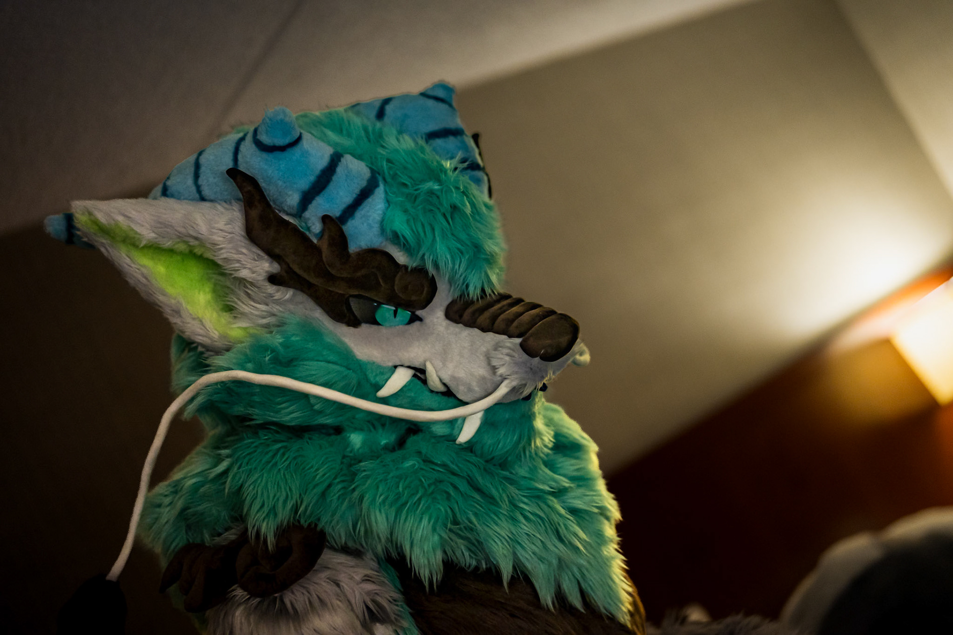 Anthrocon 2026