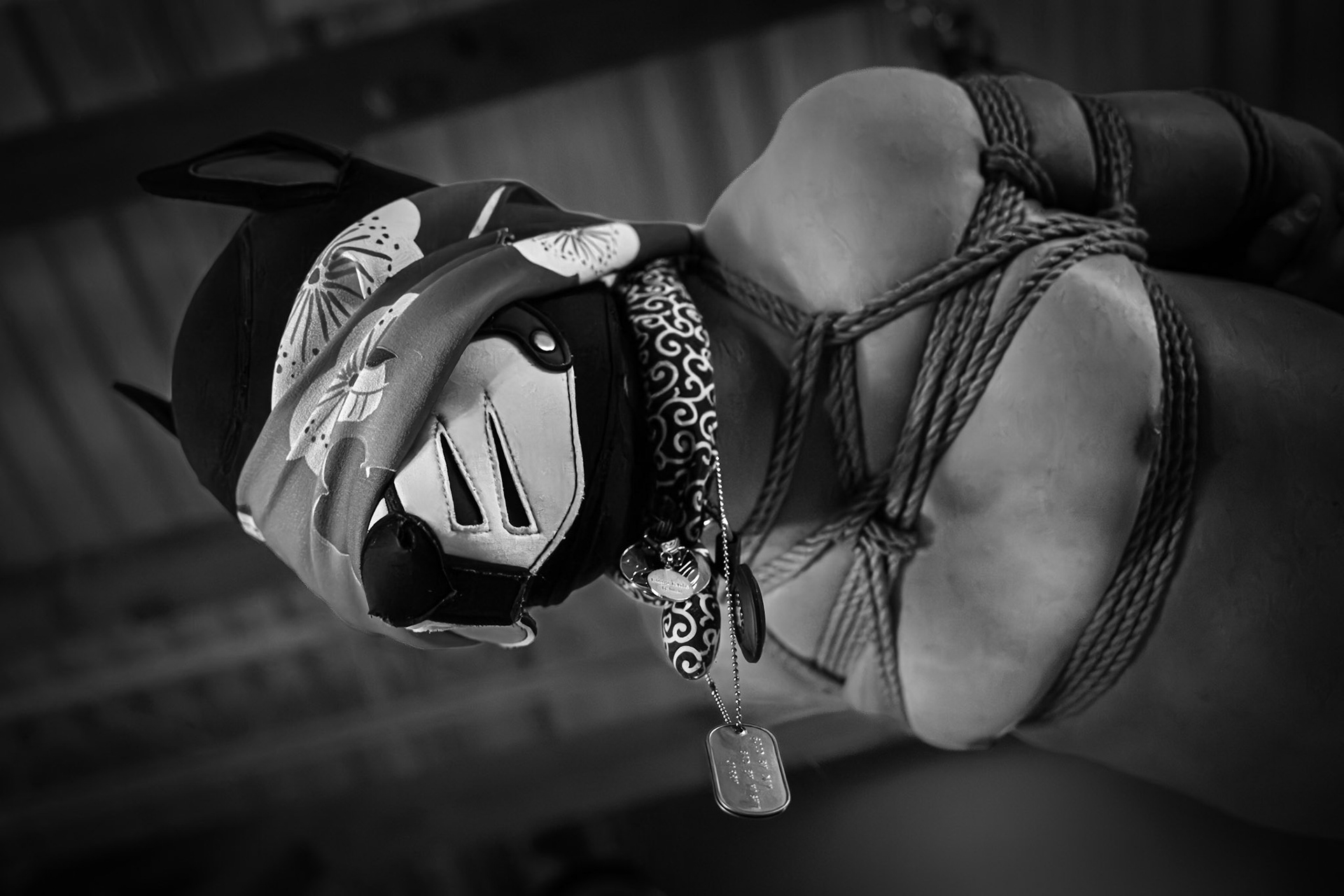 Kinbaku