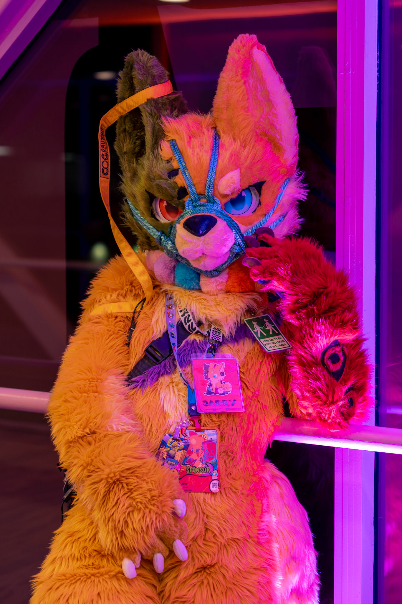 Furnal Equinox 2025