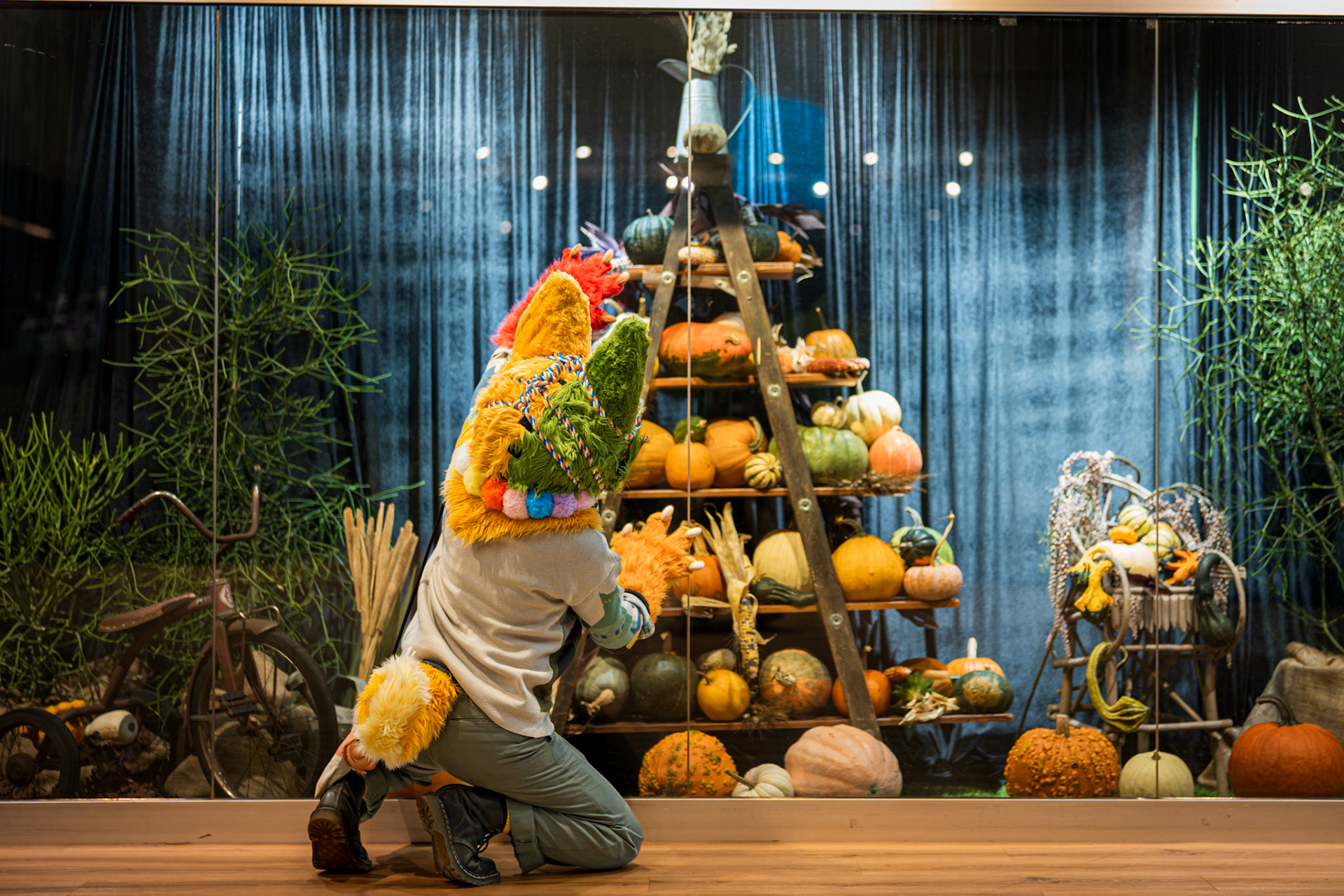 Pumpkin Trail