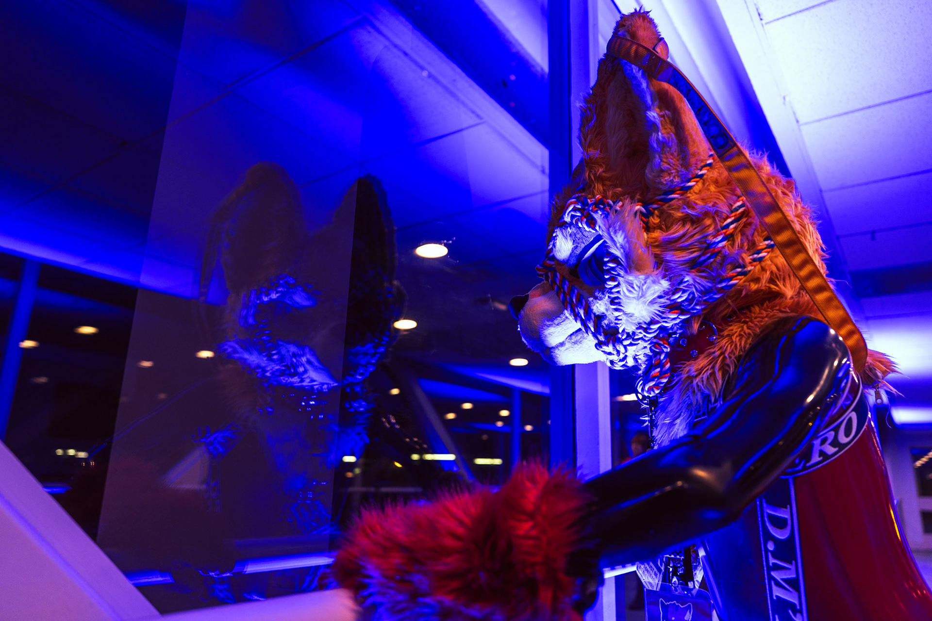 Furnal Equinox