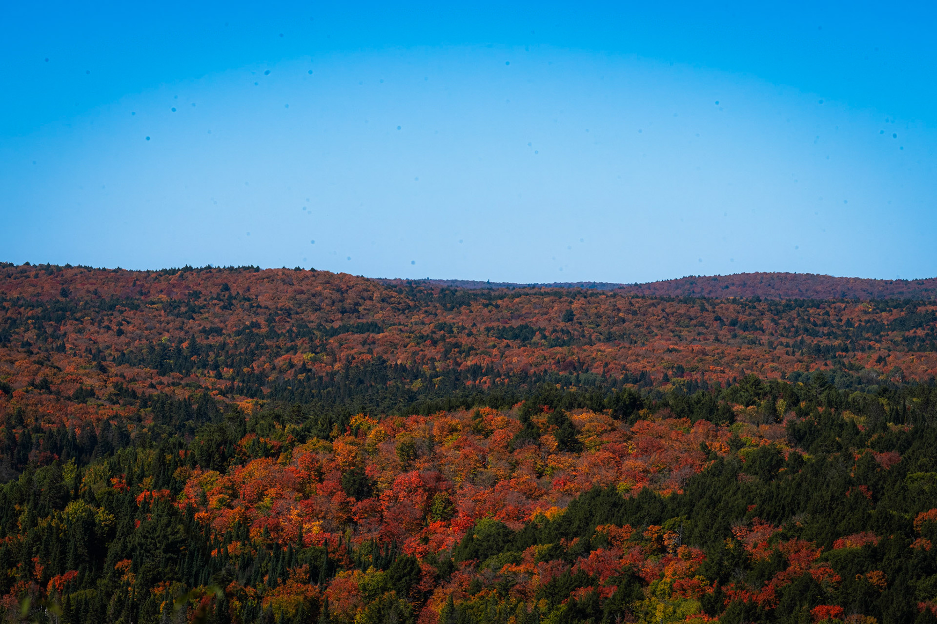 Algonquin Fall Colour