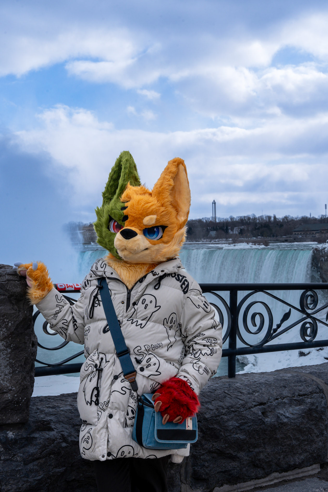 Niagara Winters