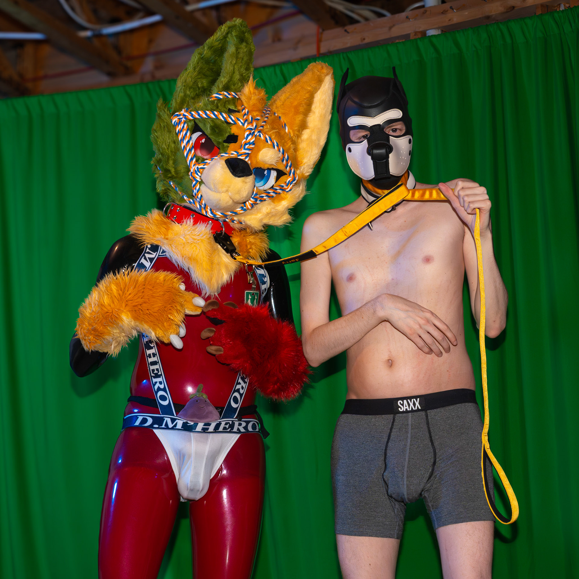 Pawty #2
