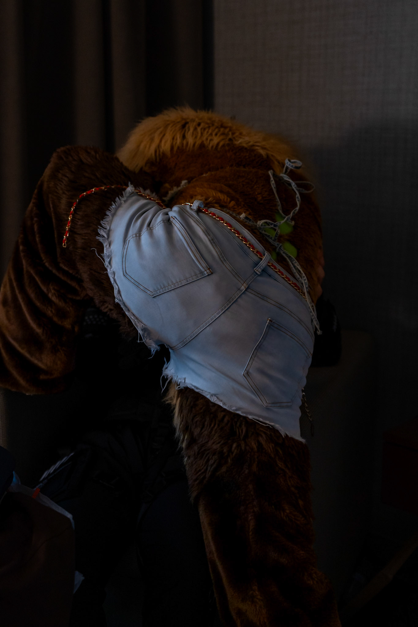 Anthrocon 2026