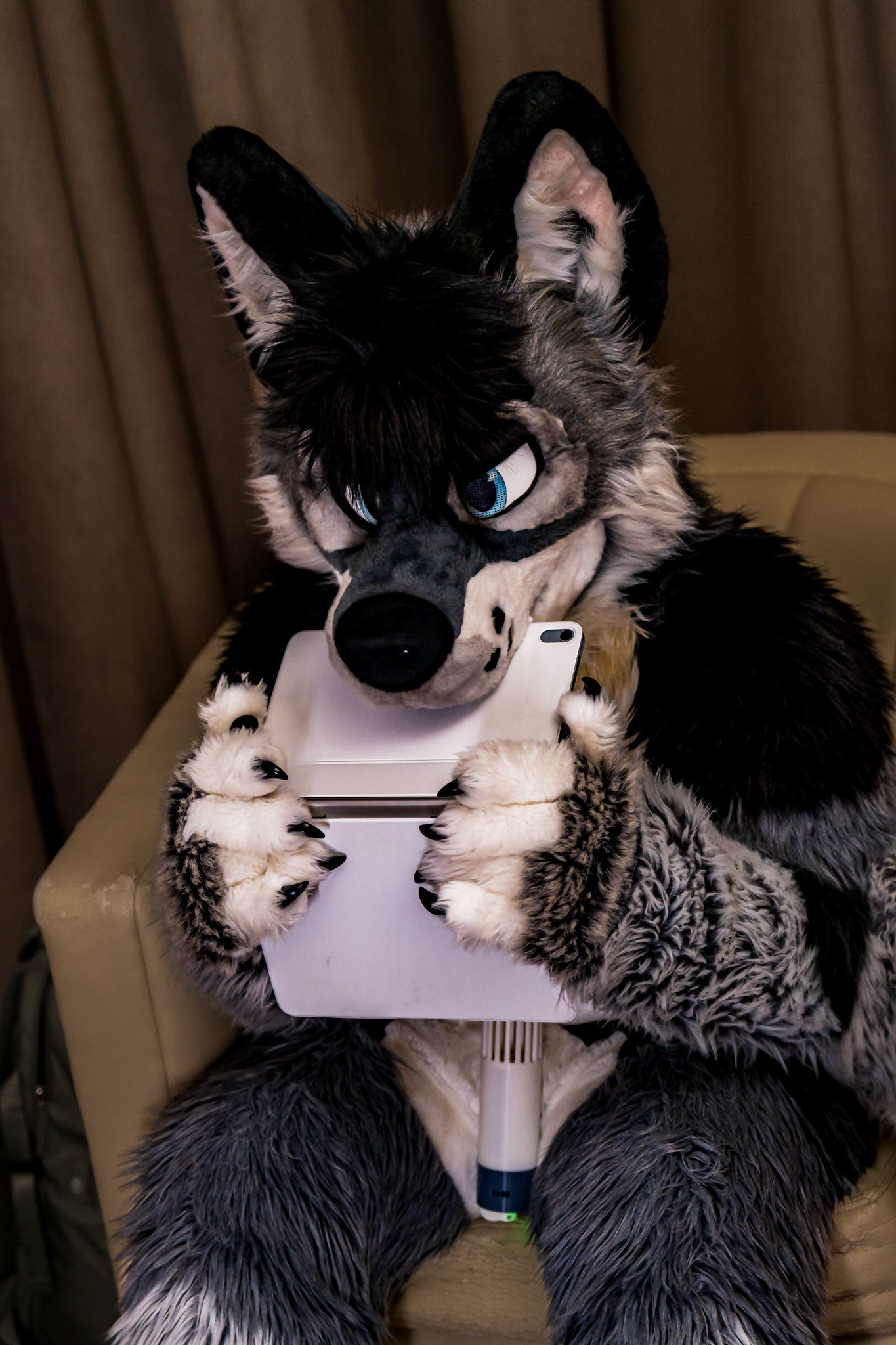 Anthrocon 2026