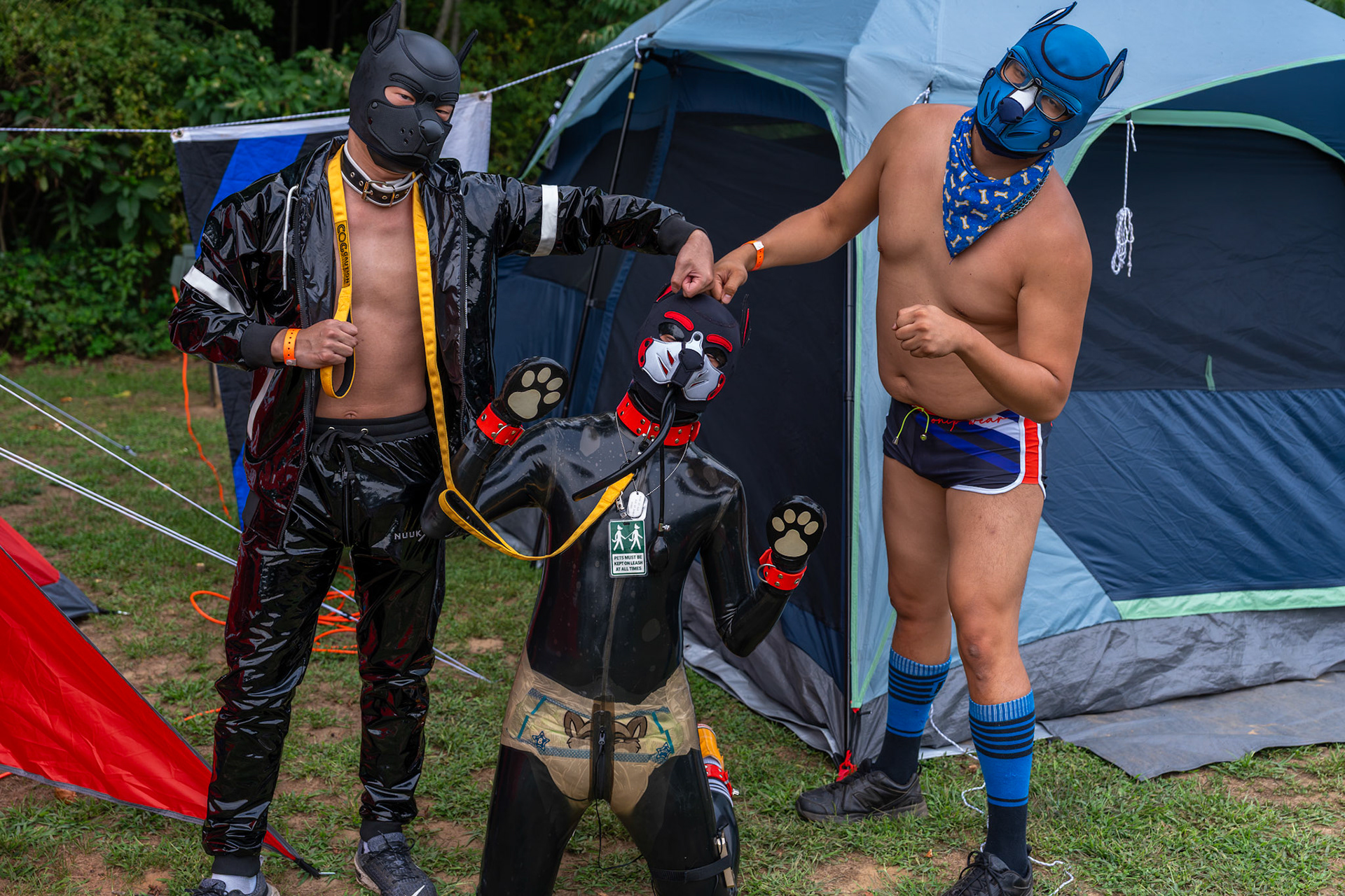 OINK Weekend