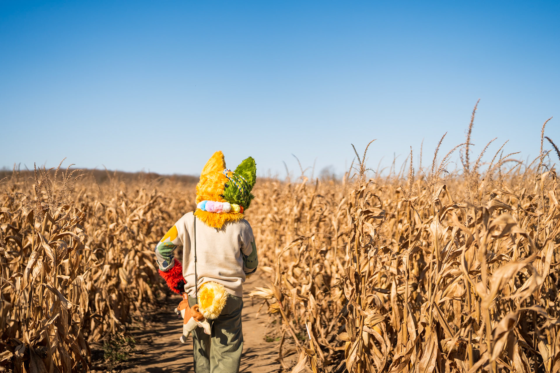 Corn Maze