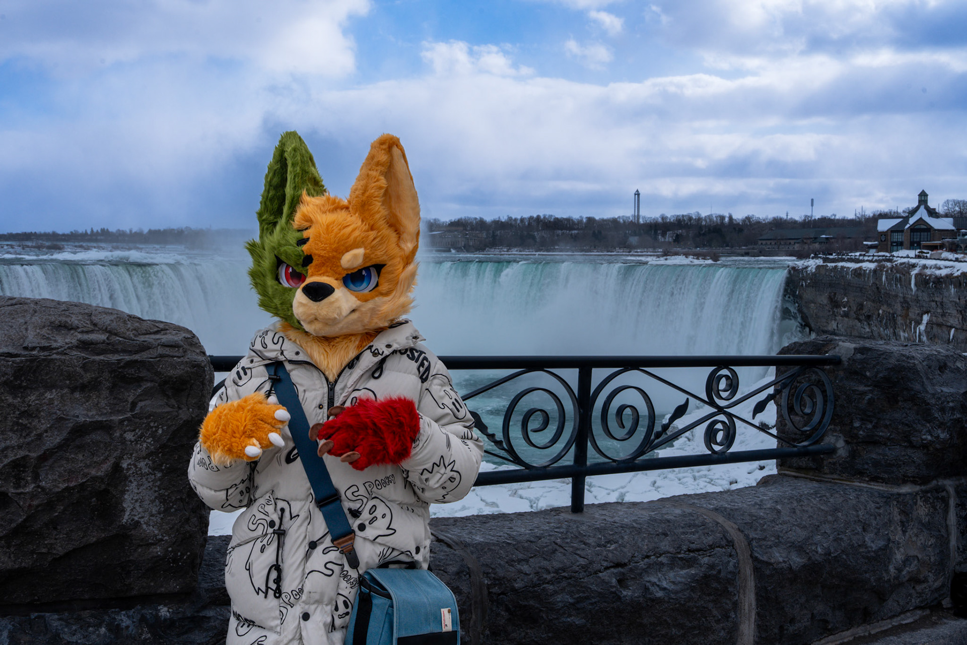 Niagara Winters