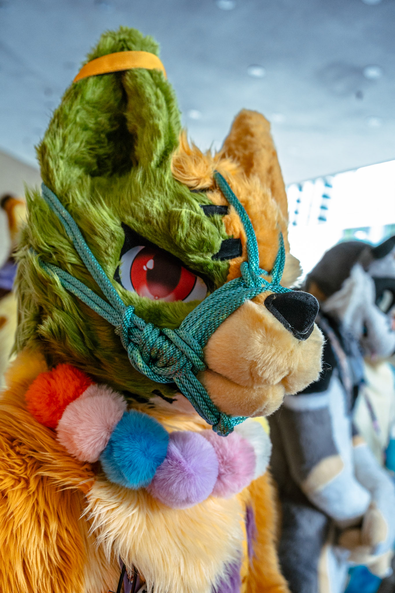 Furnal Equinox 2025
