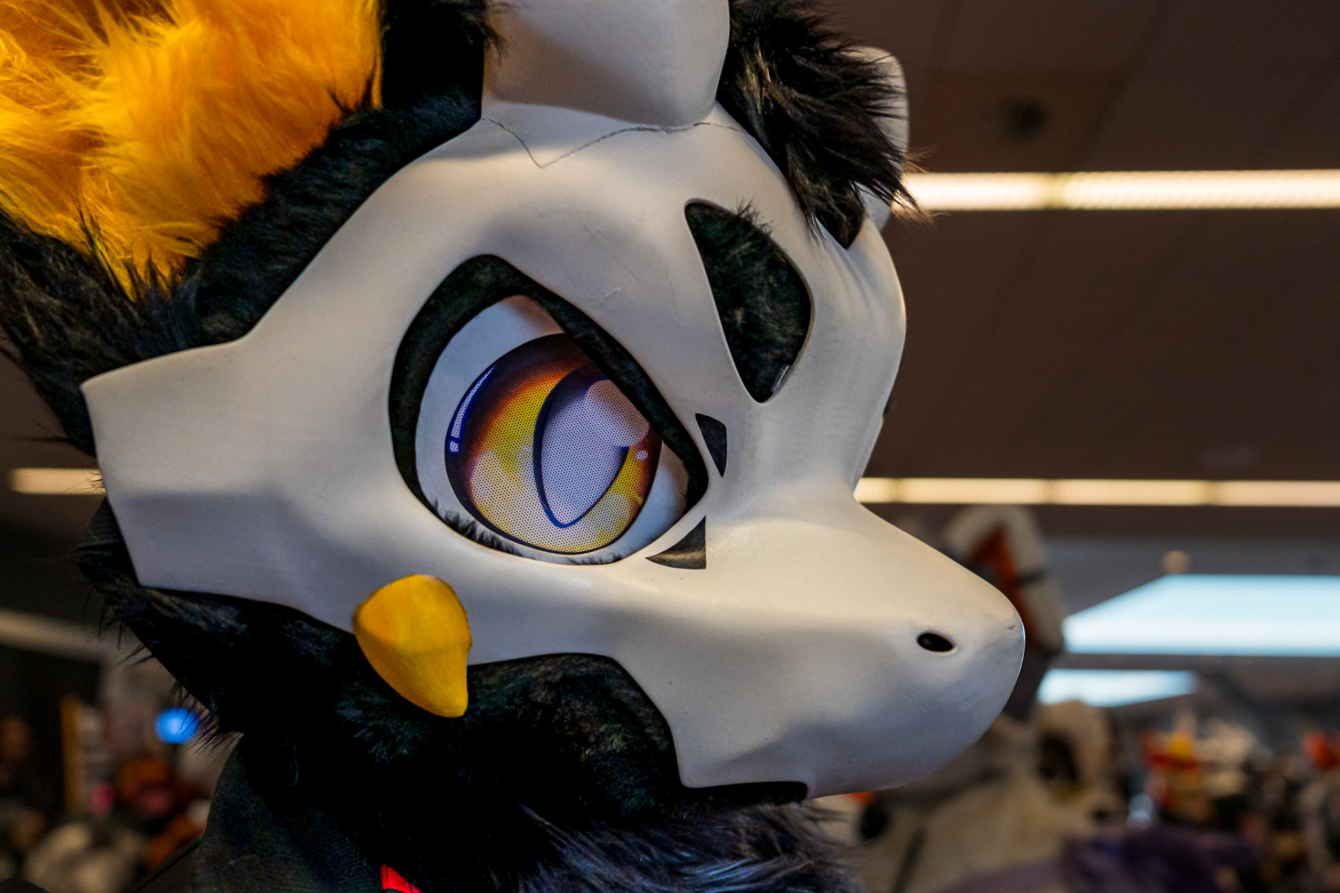 Anthrocon 2026