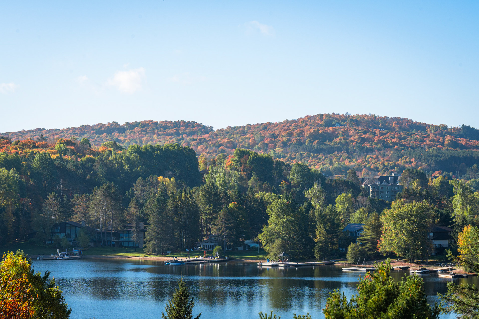 Algonquin Fall Colour