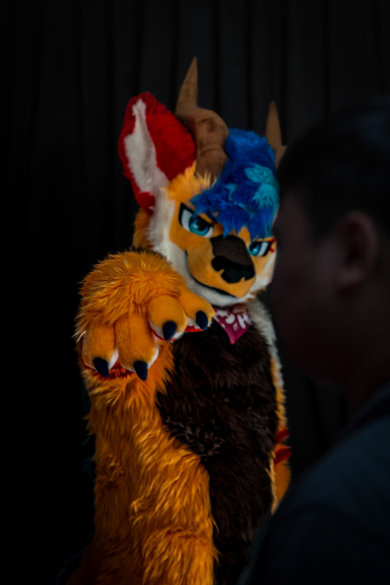 Anthrocon 2026