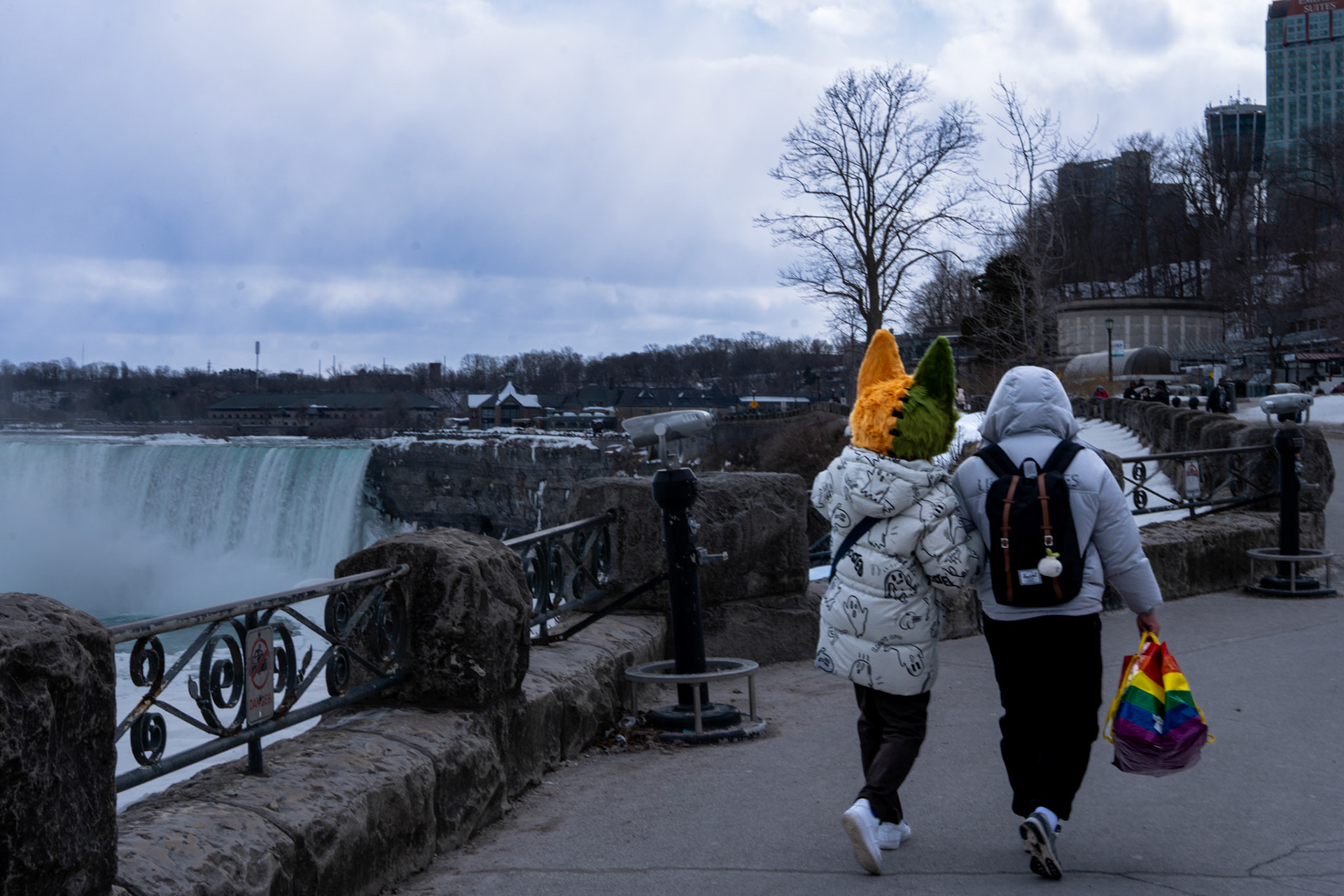 Niagara Winters