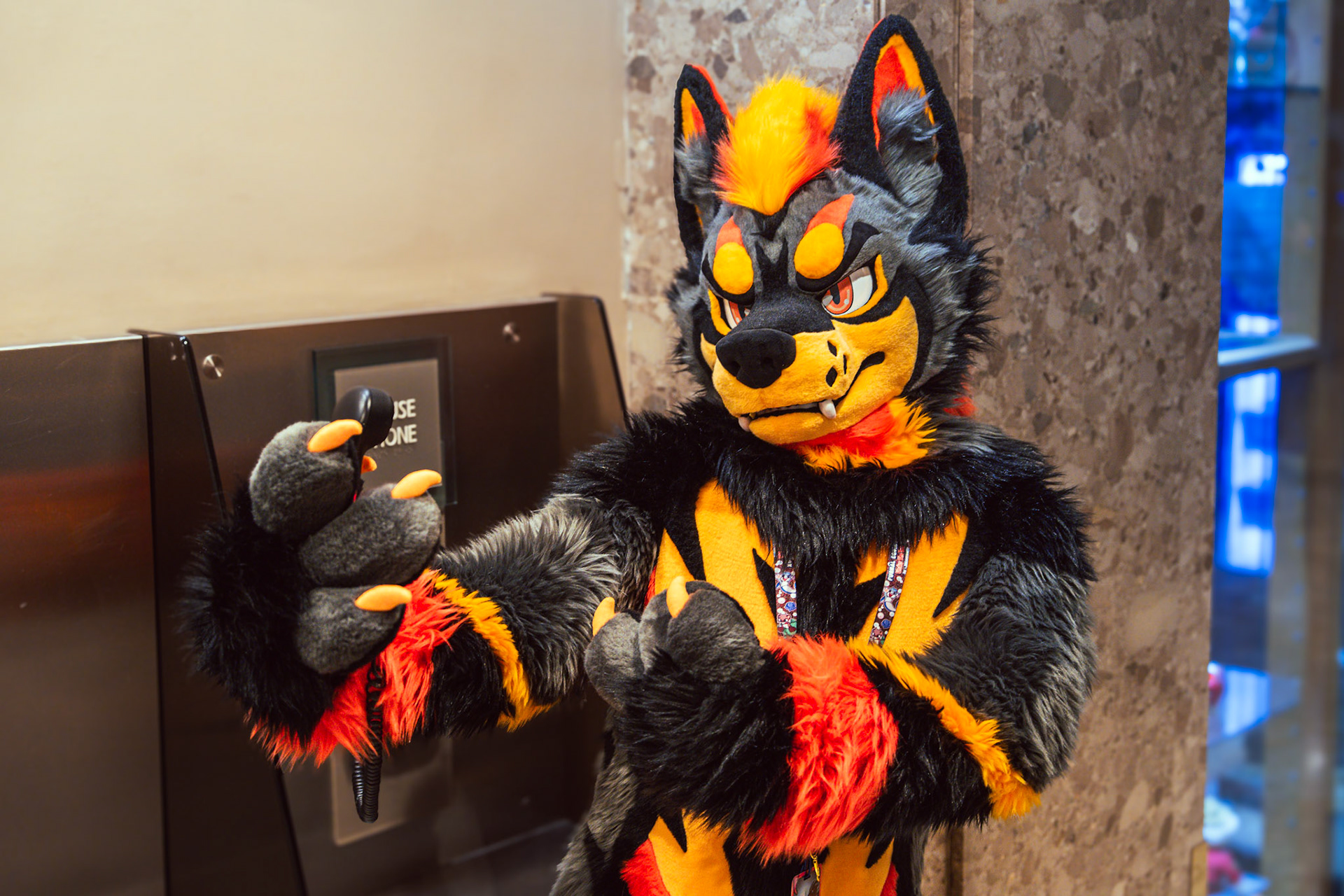 Furnal Equinox 2025