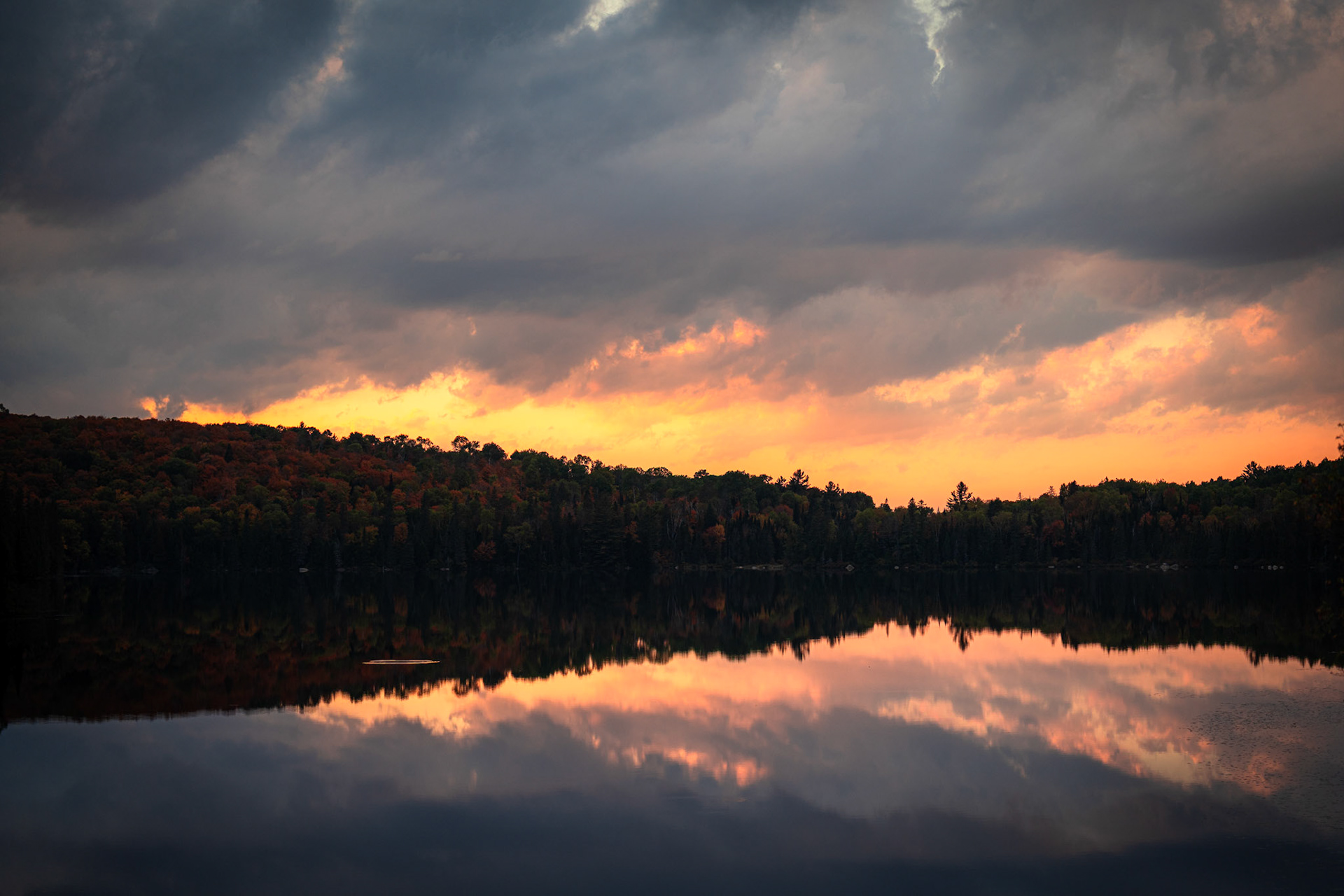 Algonquin Fall Colour