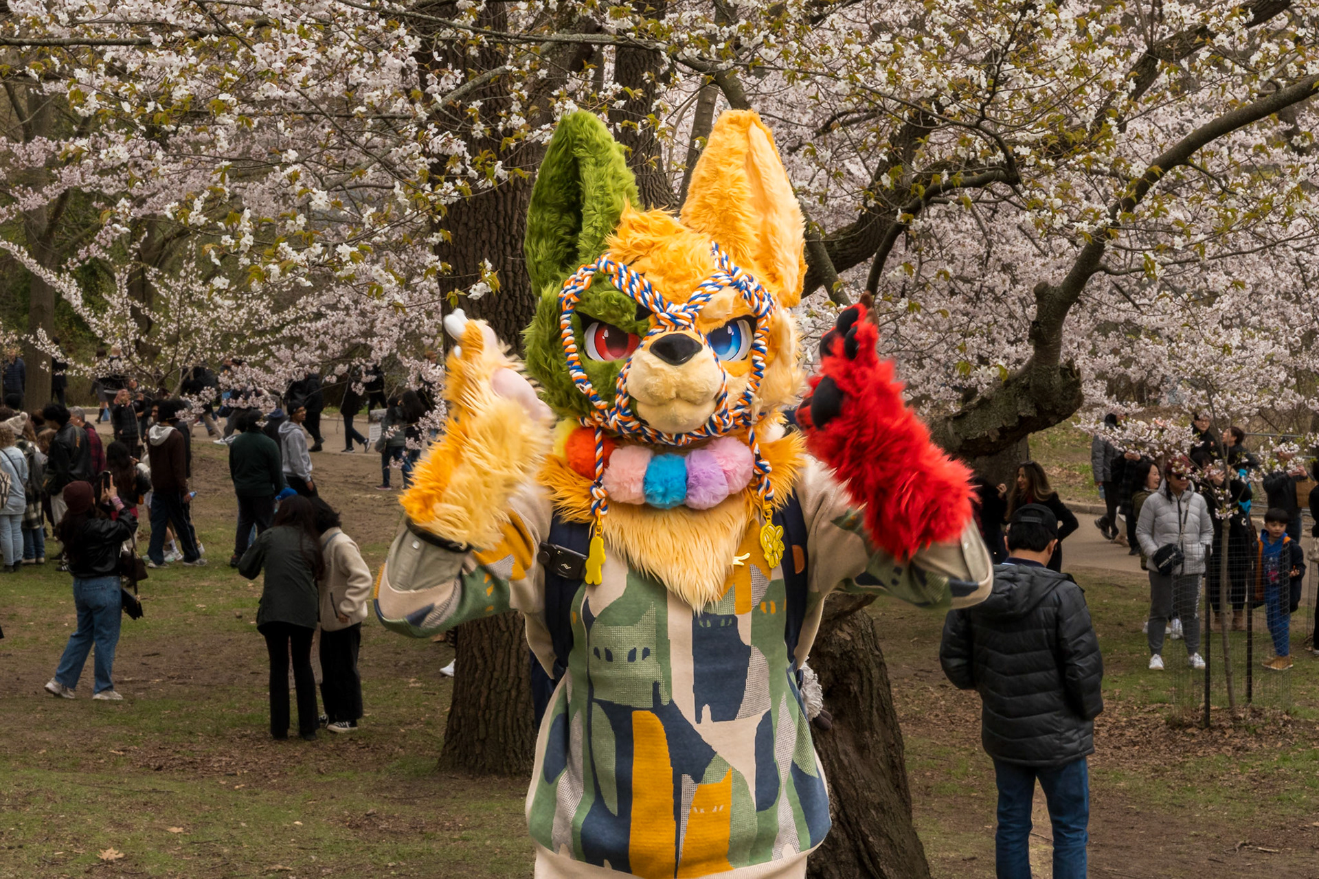 High Park 4.0