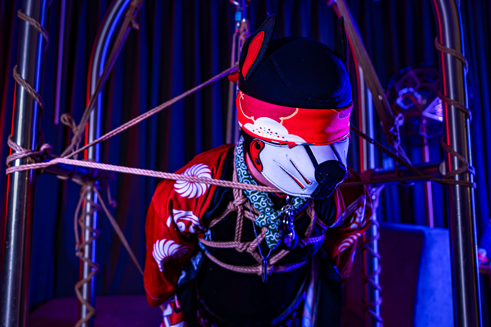Furnal Equinox